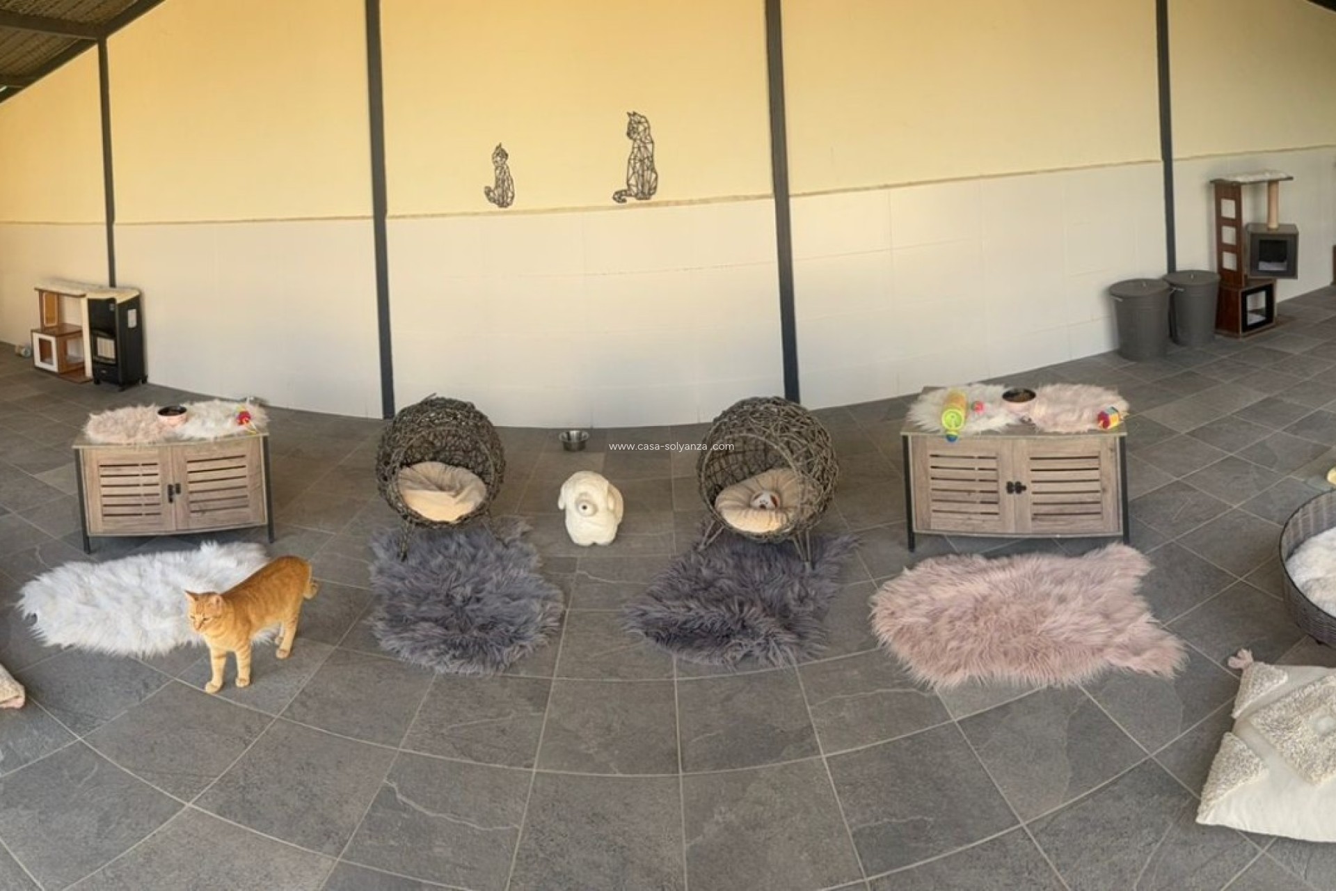 Revente - Country Property/Finca - Elche - Costa Blanca