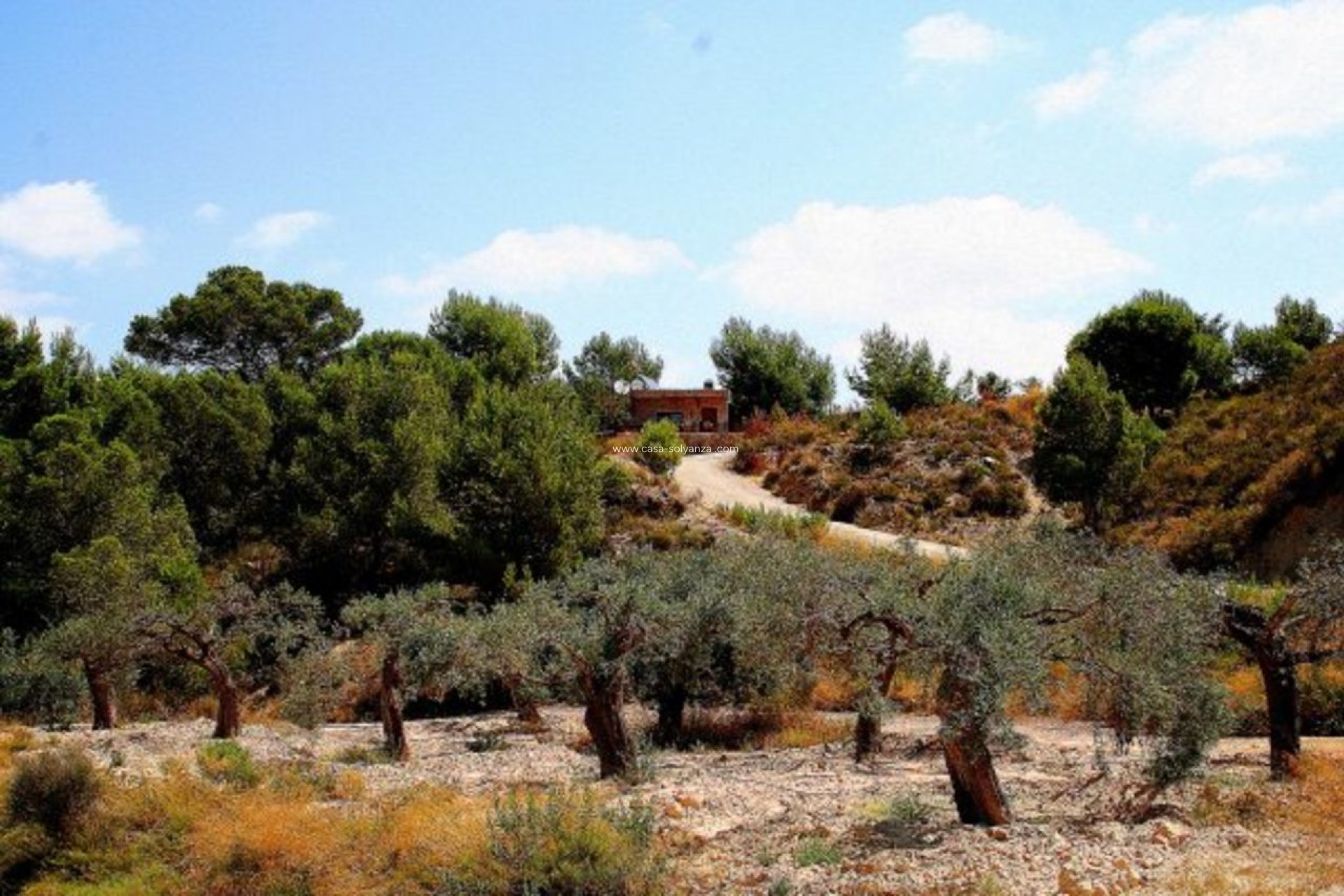 Revente - Country Property/Finca - Gea Y Truyols - Inland