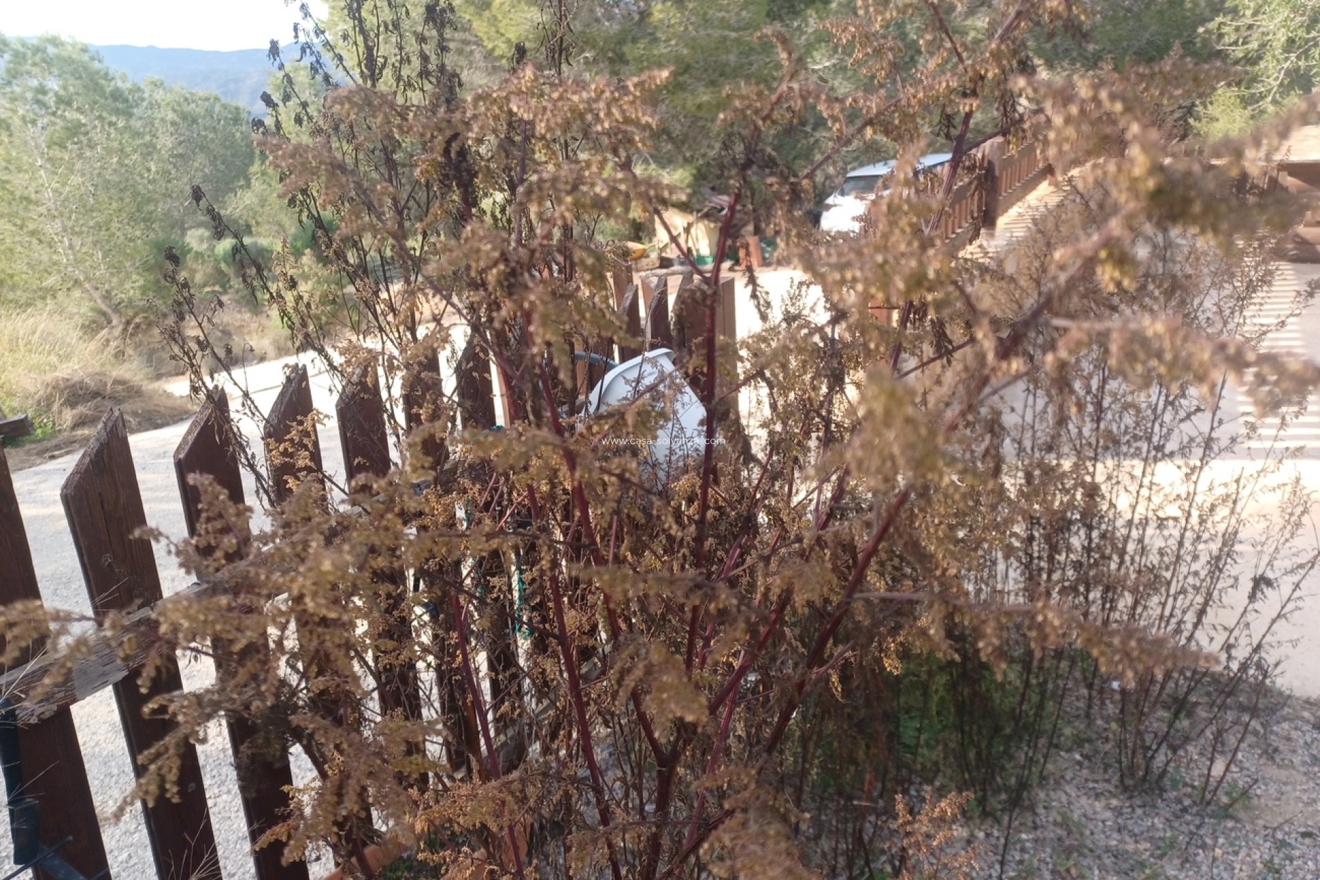 Revente - Country Property/Finca - Gea Y Truyols - Inland