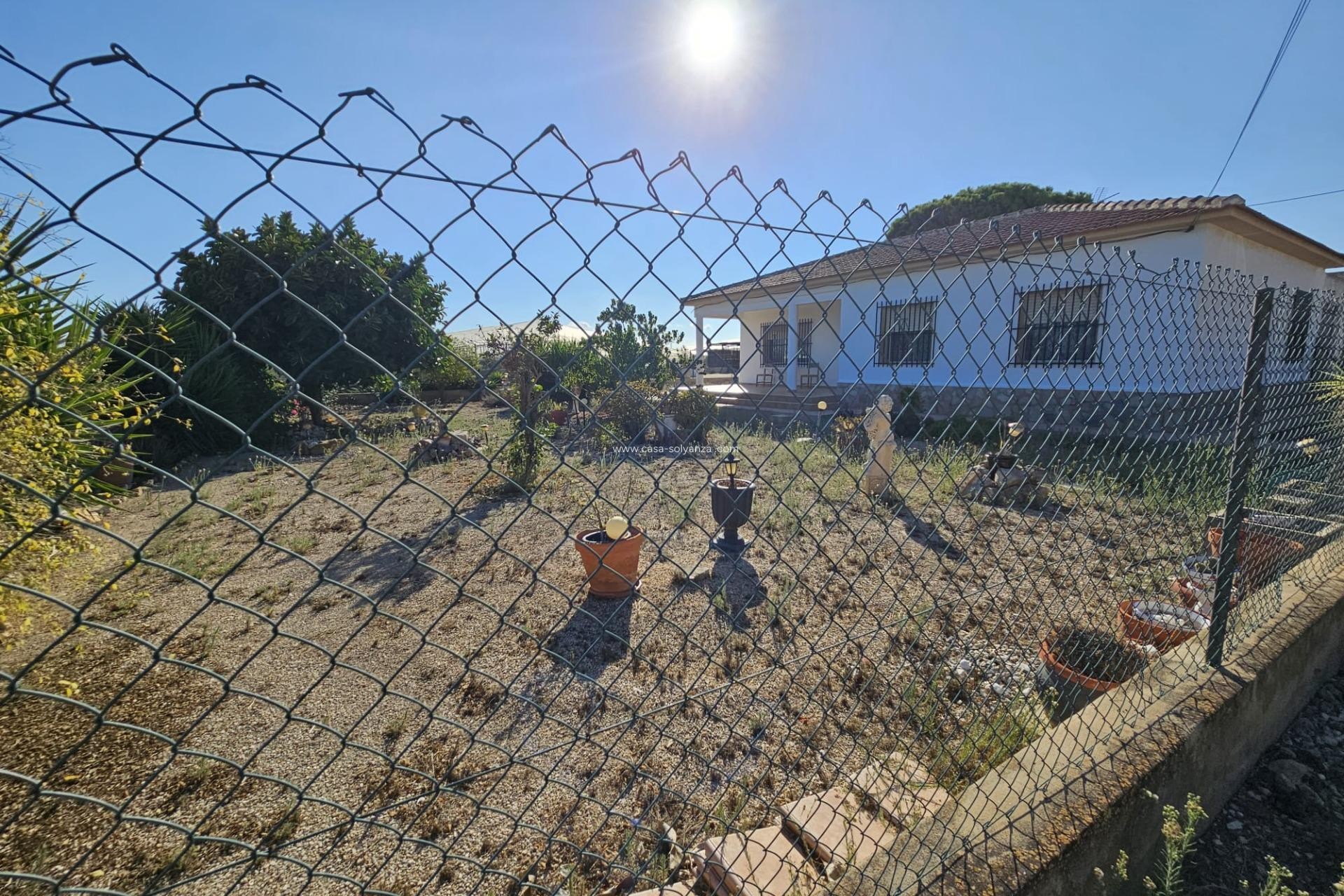 Revente - Country Property/Finca - Guardamar del Segura - Buenavista