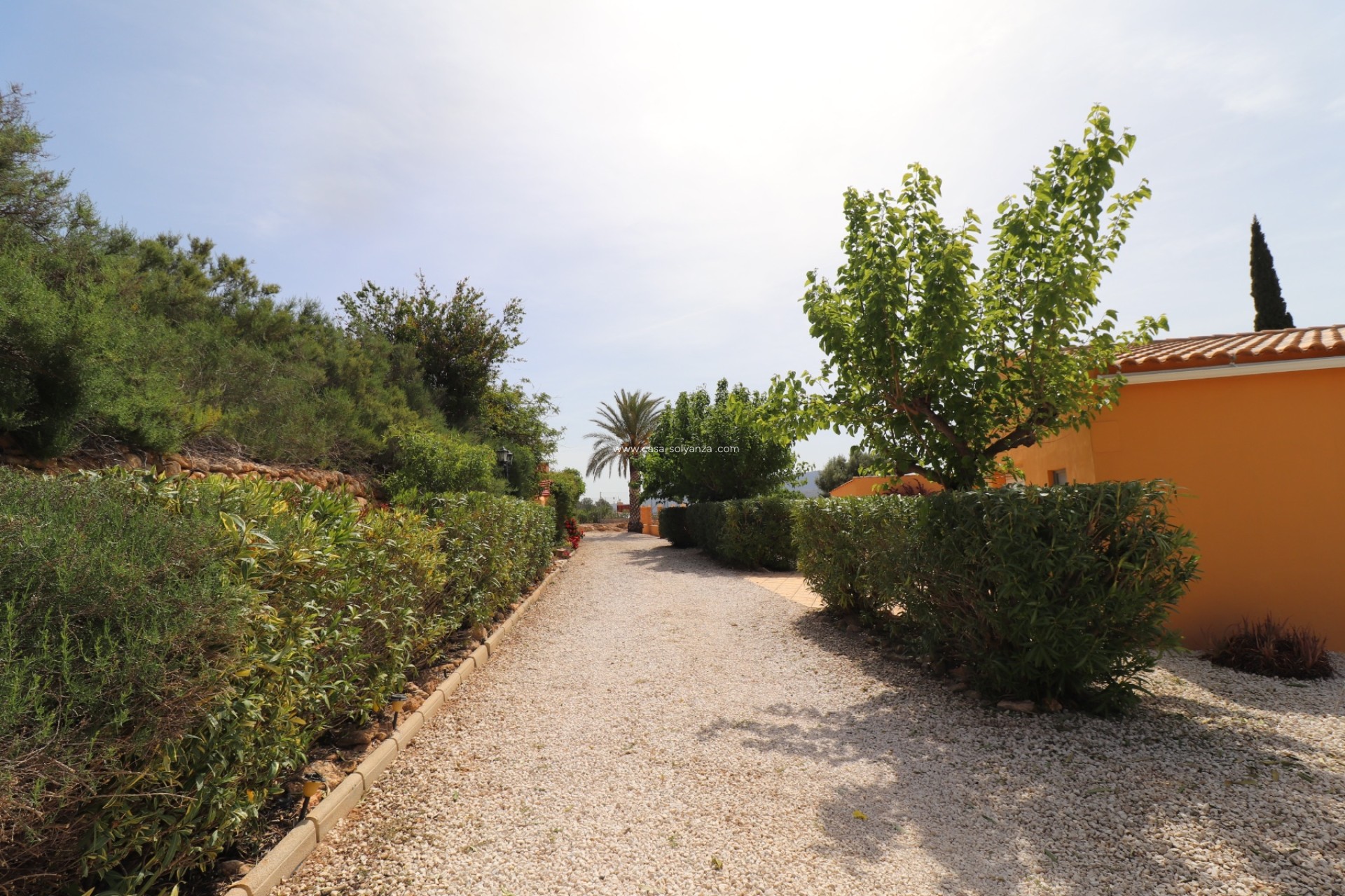Revente - Country Property/Finca - Hondón de las Nieves - Inland