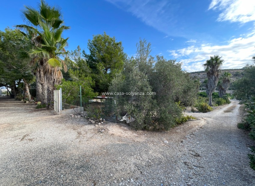 Revente - Country Property/Finca - Jacarilla - Inland