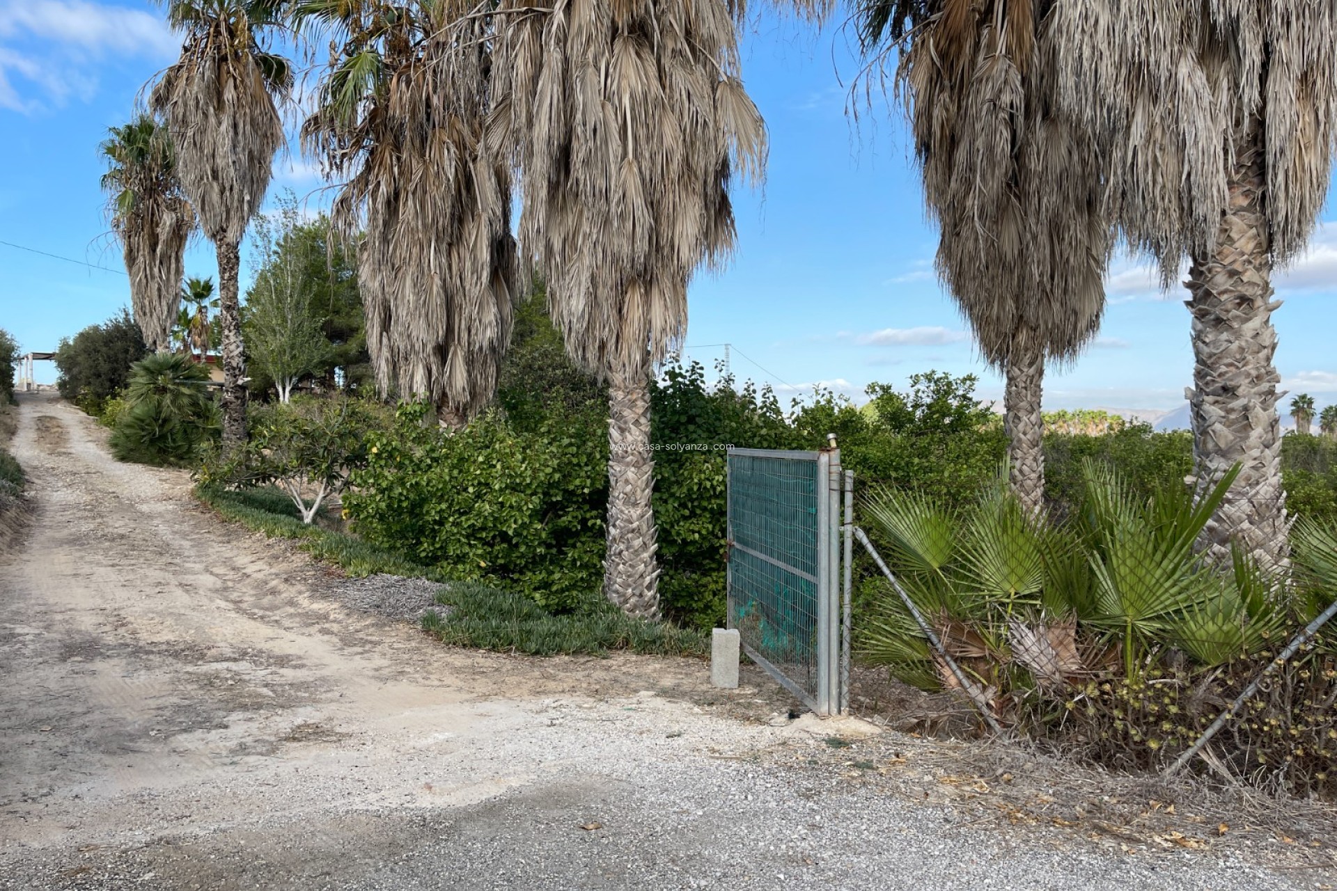 Revente - Country Property/Finca - Jacarilla - Inland