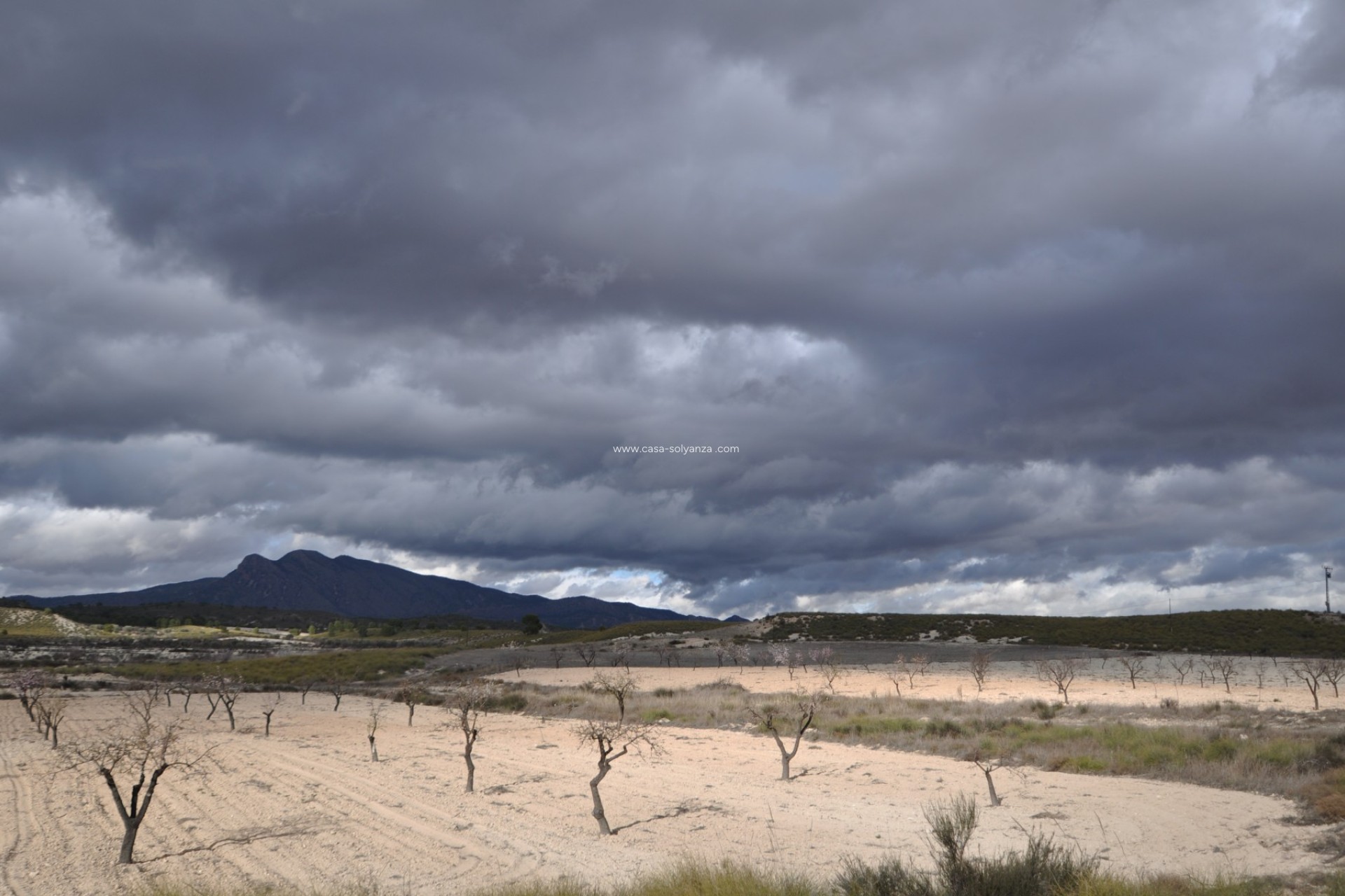 Revente - Country Property/Finca - Jumilla - Inland