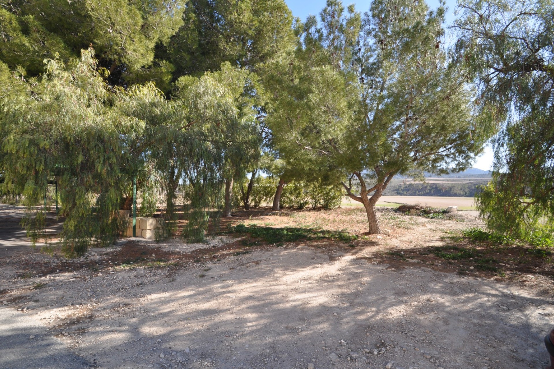 Revente - Country Property/Finca - Jumilla - Inland