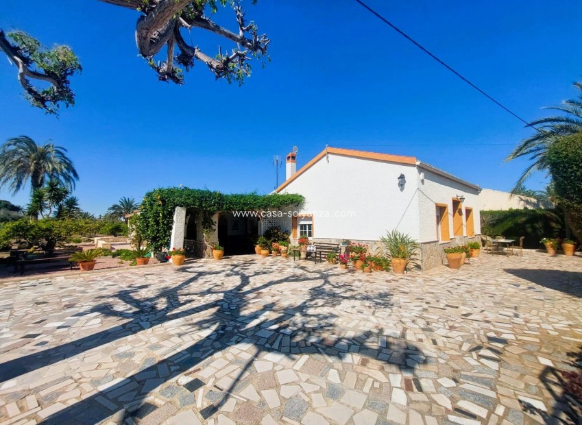 Revente - Country Property/Finca - La Marina - Costa Blanca