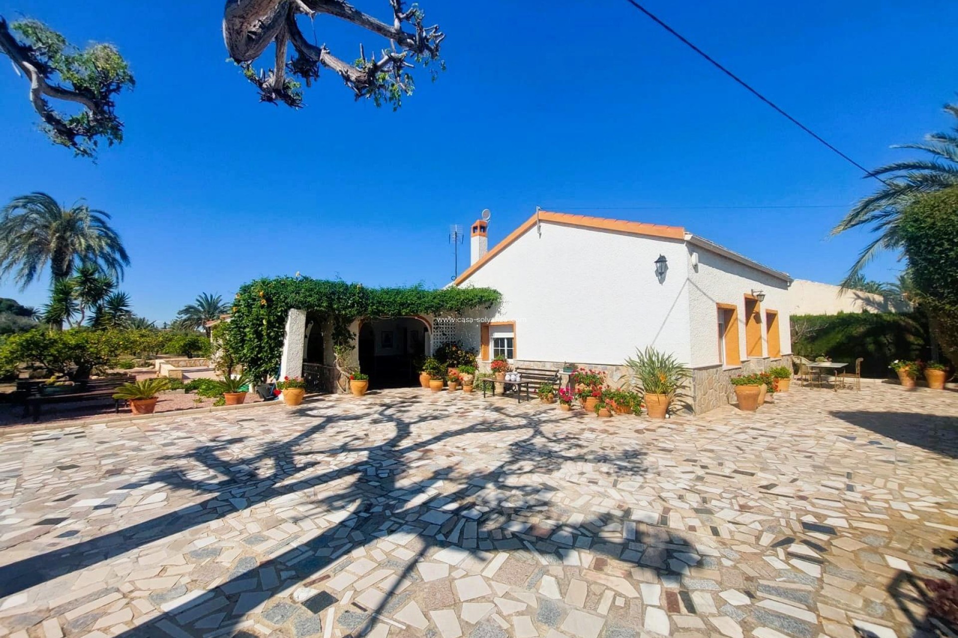 Revente - Country Property/Finca - La Marina - Costa Blanca