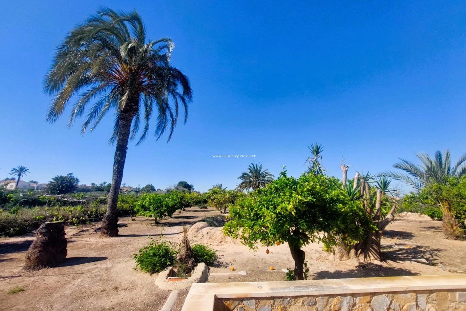 Revente - Country Property/Finca - La Marina - Costa Blanca