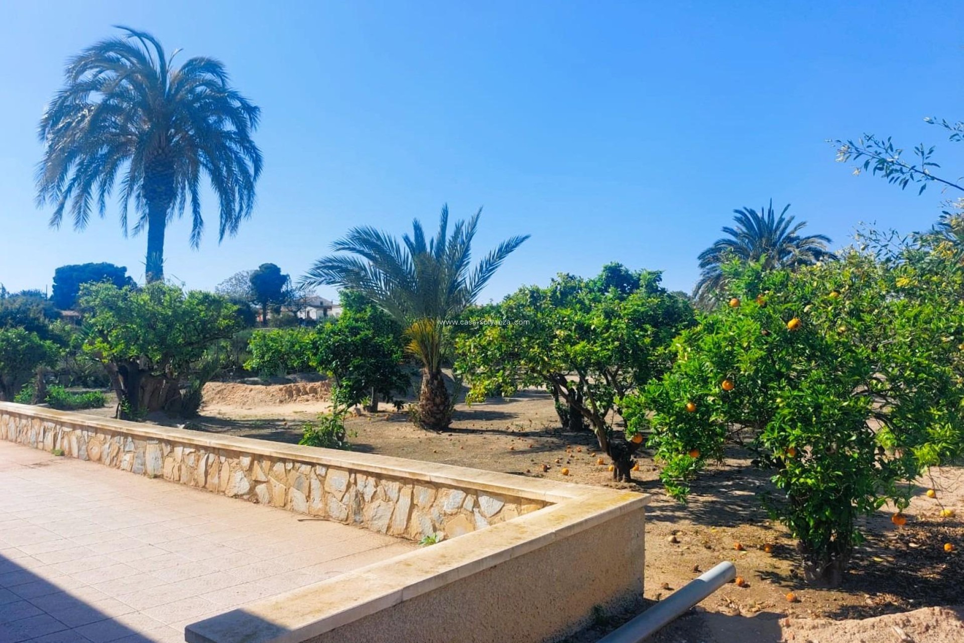 Revente - Country Property/Finca - La Marina - Costa Blanca