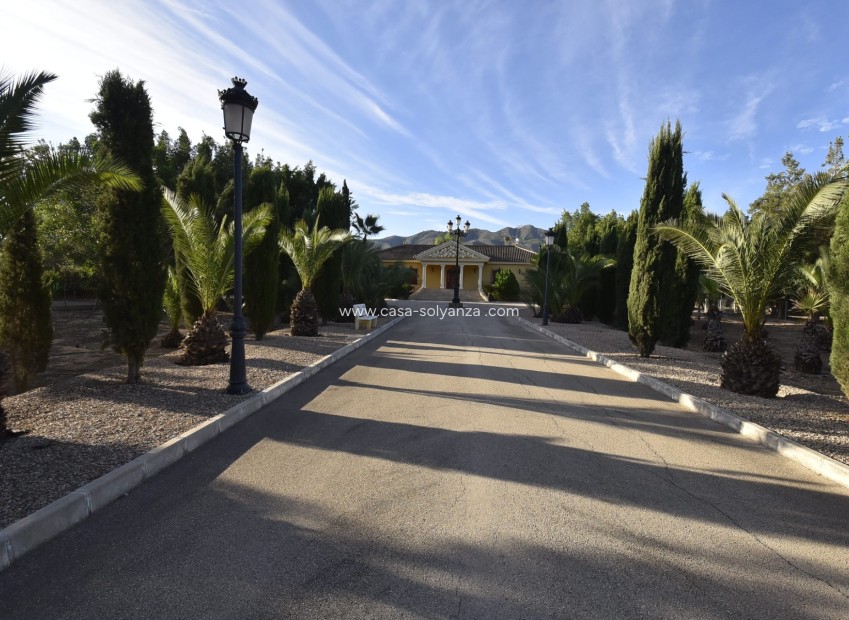 Revente - Country Property/Finca - La Matanza - Inland