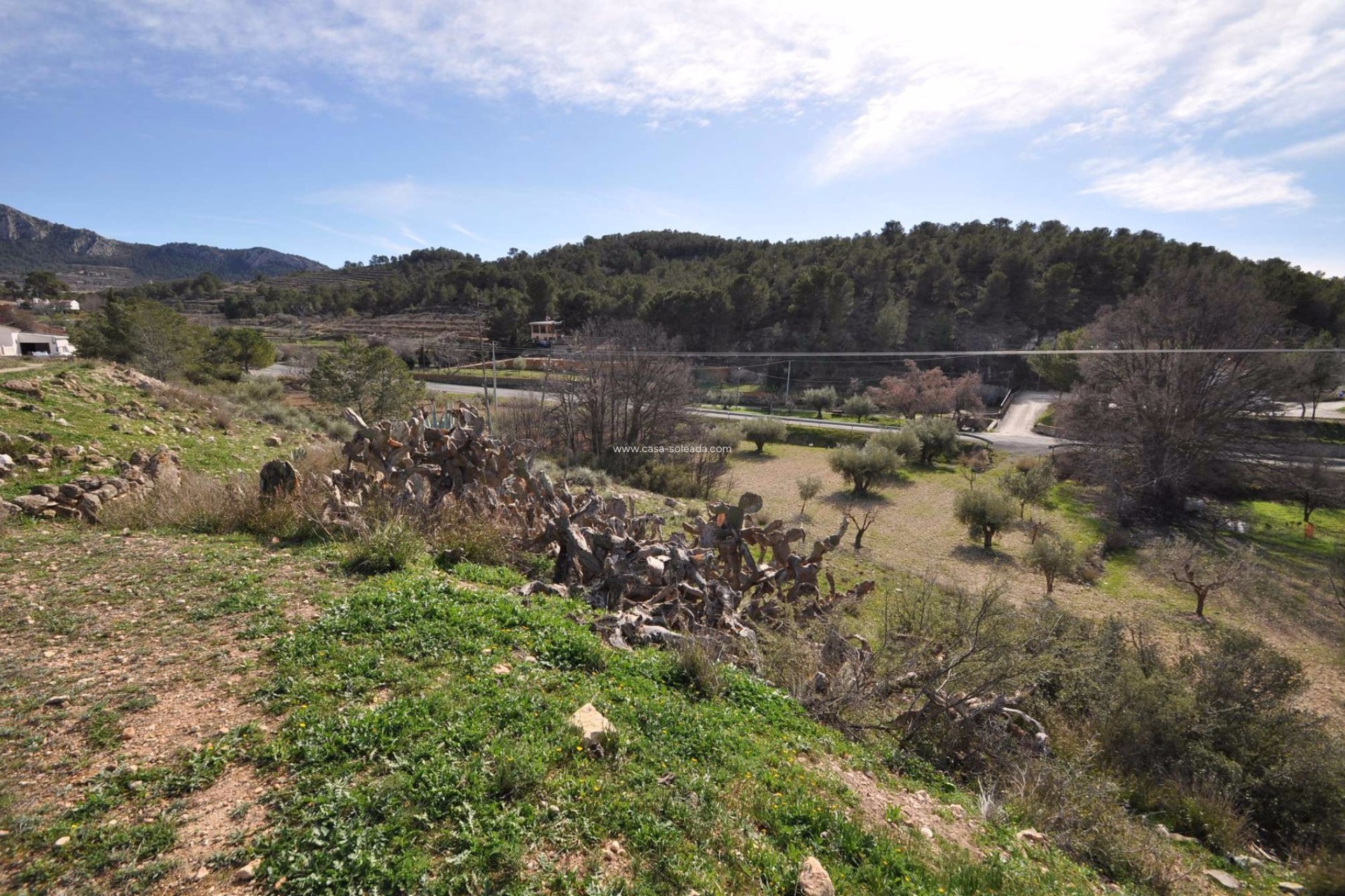Revente - Country Property/Finca - La Zarza - Inland