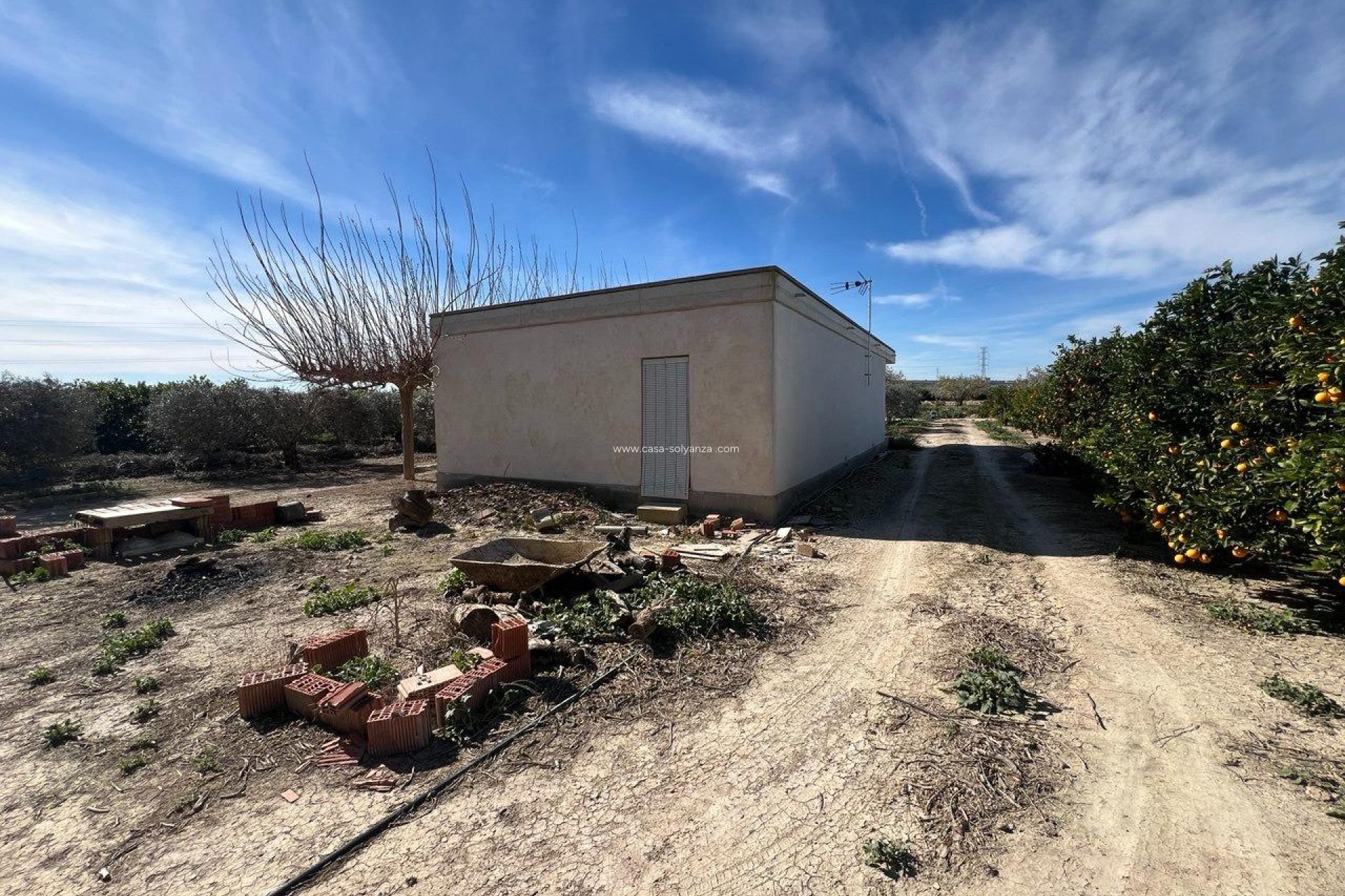 Revente - Country Property/Finca - Los Montesinos - Comunidad Valenciana