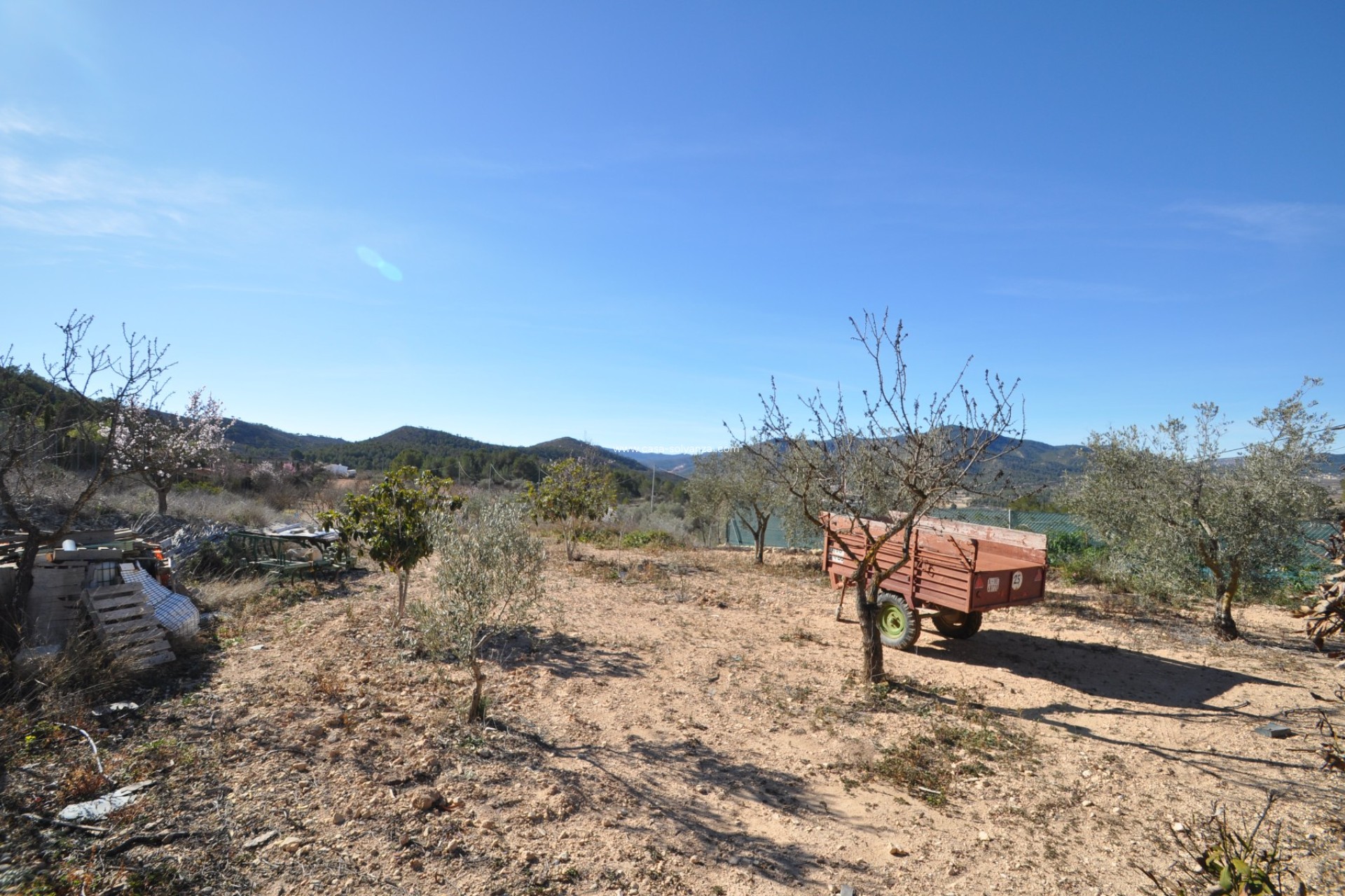 Revente - Country Property/Finca - Monóvar - Inland