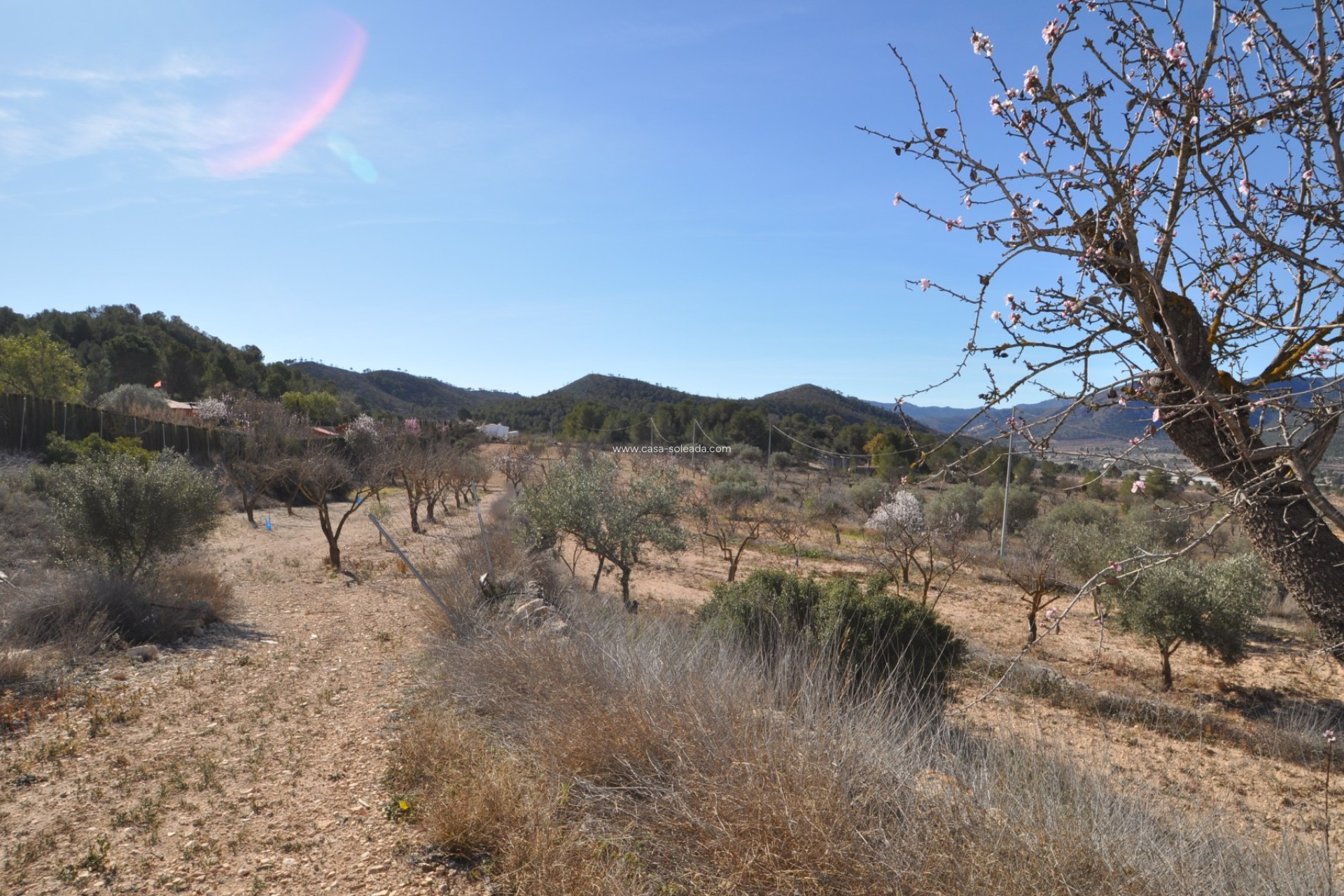 Revente - Country Property/Finca - Monóvar - Inland