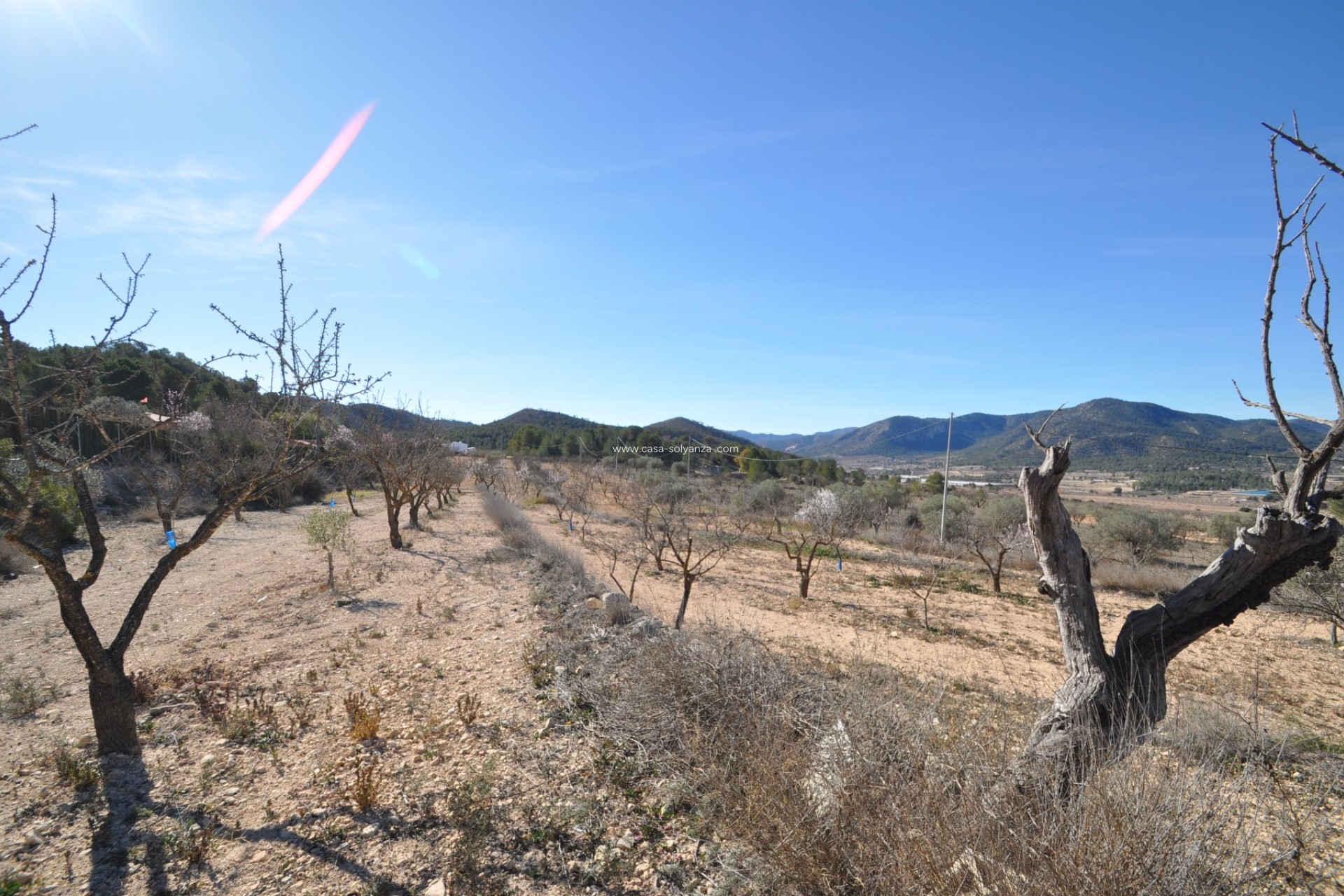 Revente - Country Property/Finca - Monóvar - Inland