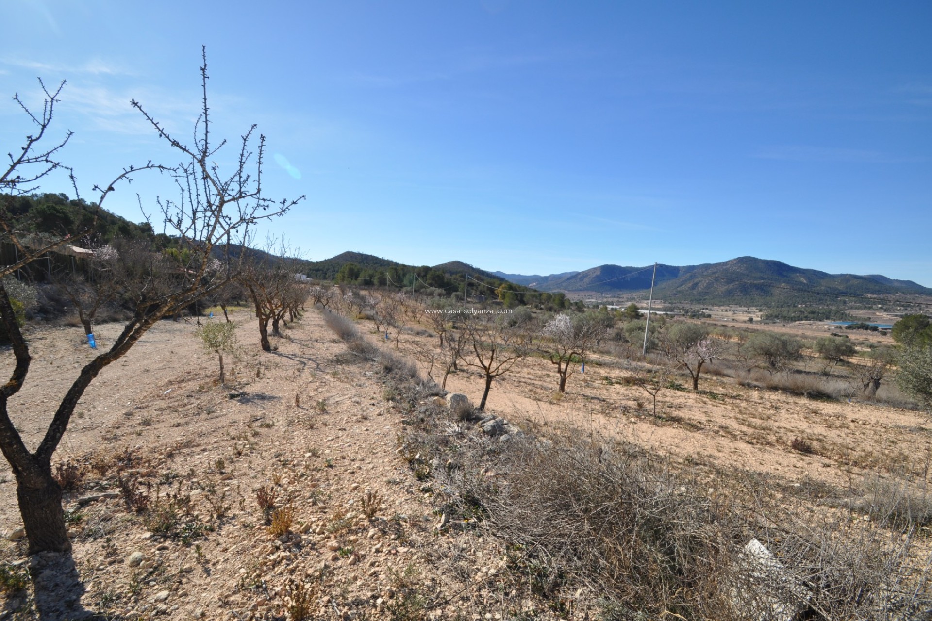 Revente - Country Property/Finca - Monóvar - Inland
