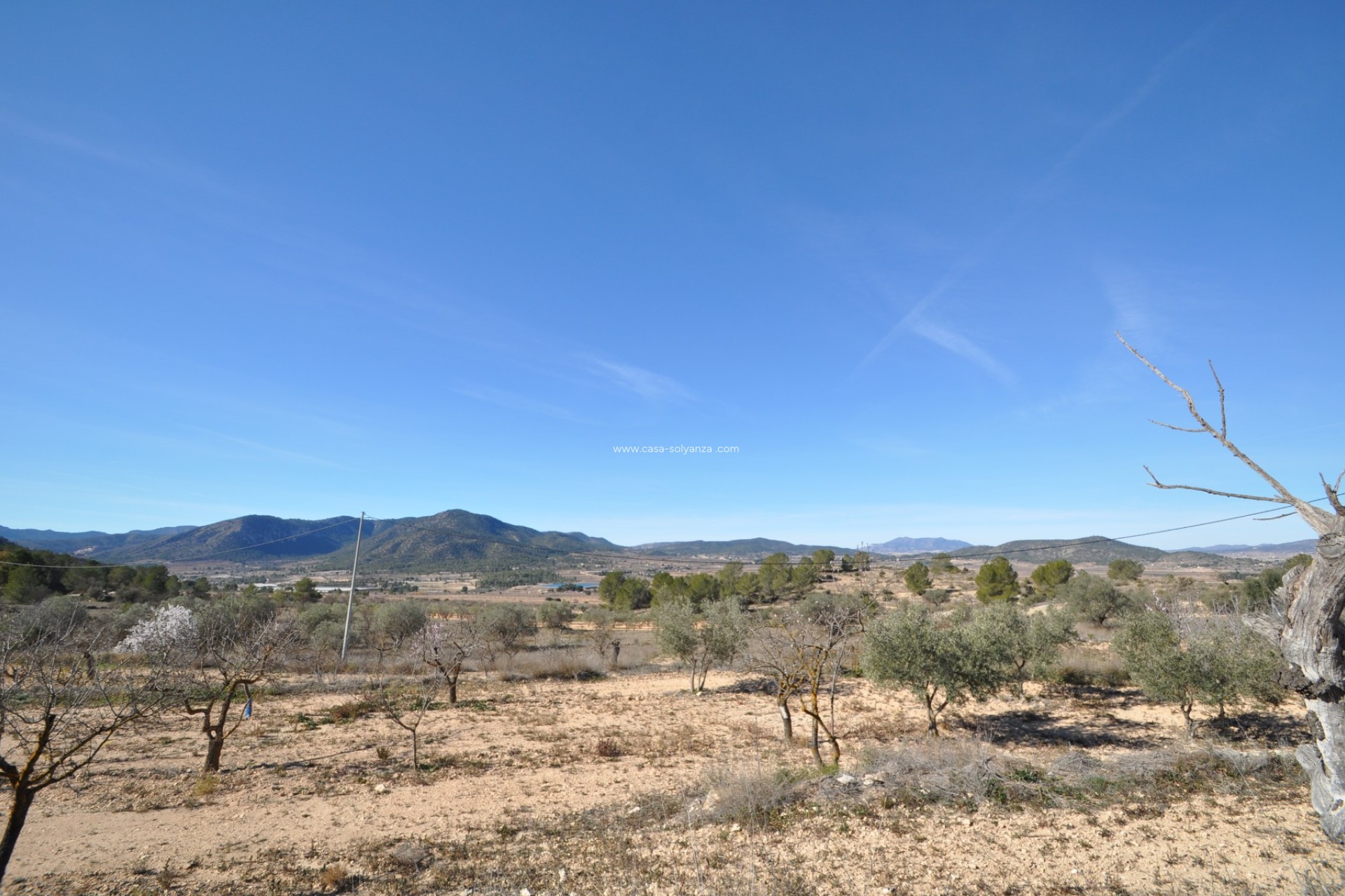 Revente - Country Property/Finca - Monóvar - Inland