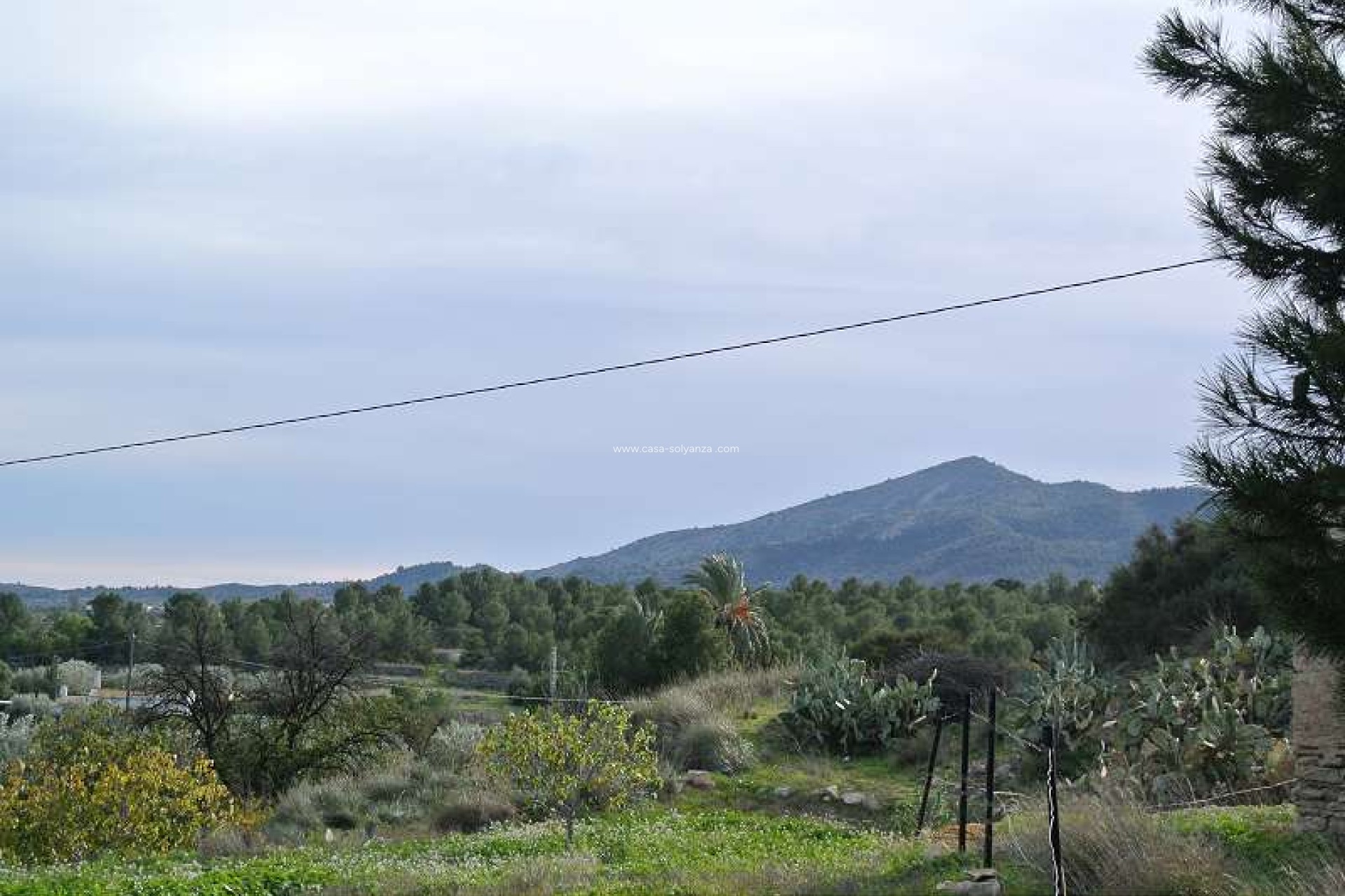 Revente - Country Property/Finca - Monóvar - Inland