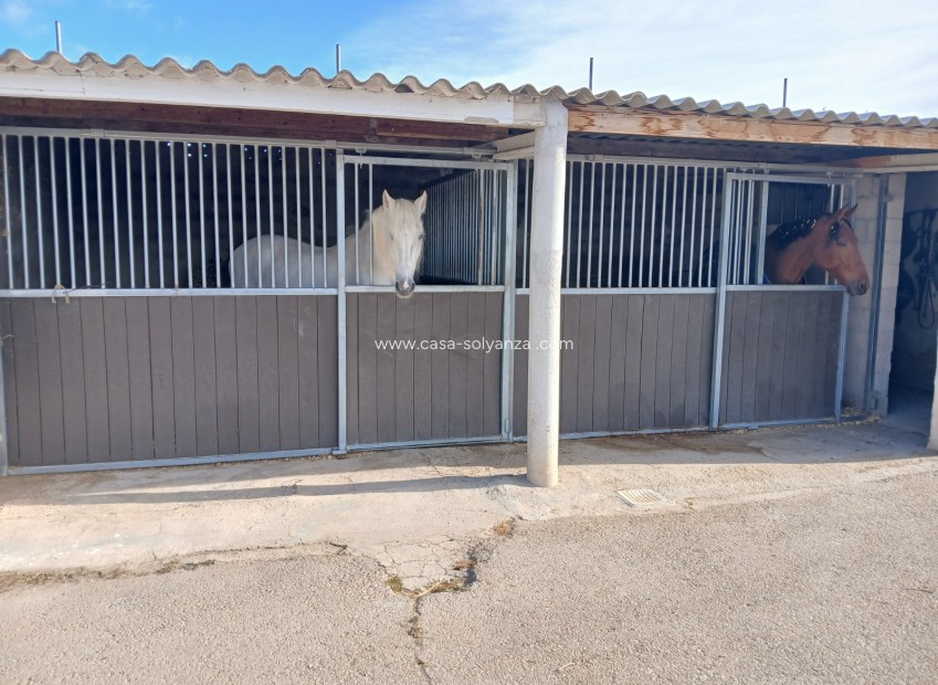 Revente - Country Property/Finca - Monóvar - Inland