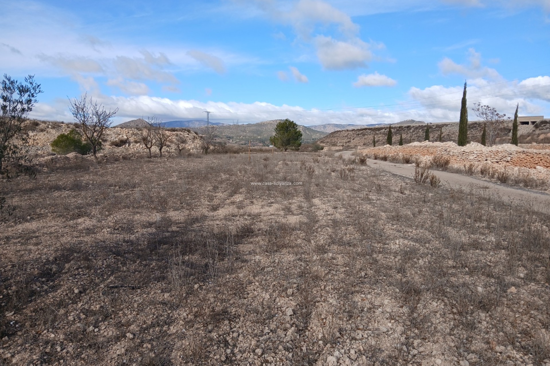 Revente - Country Property/Finca - Monóvar - Inland