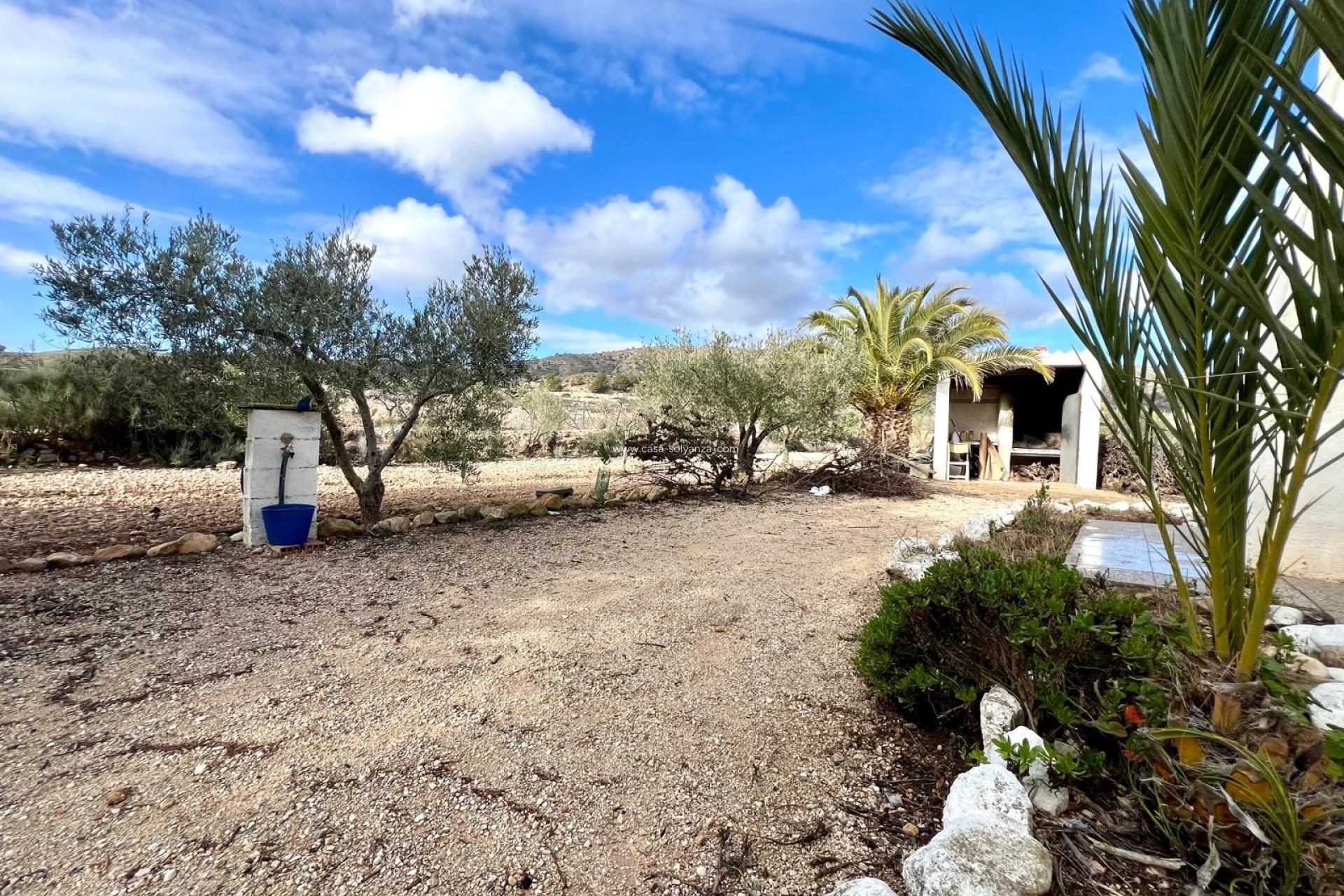 Revente - Country Property/Finca - Monóvar - Inland