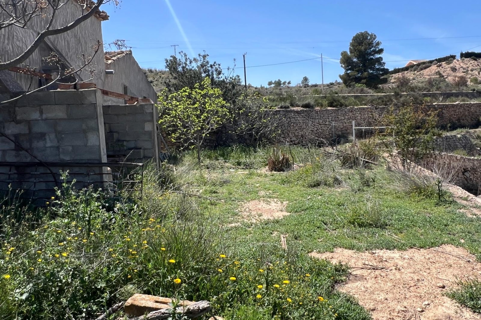 Revente - Country Property/Finca - Monóvar - Inland