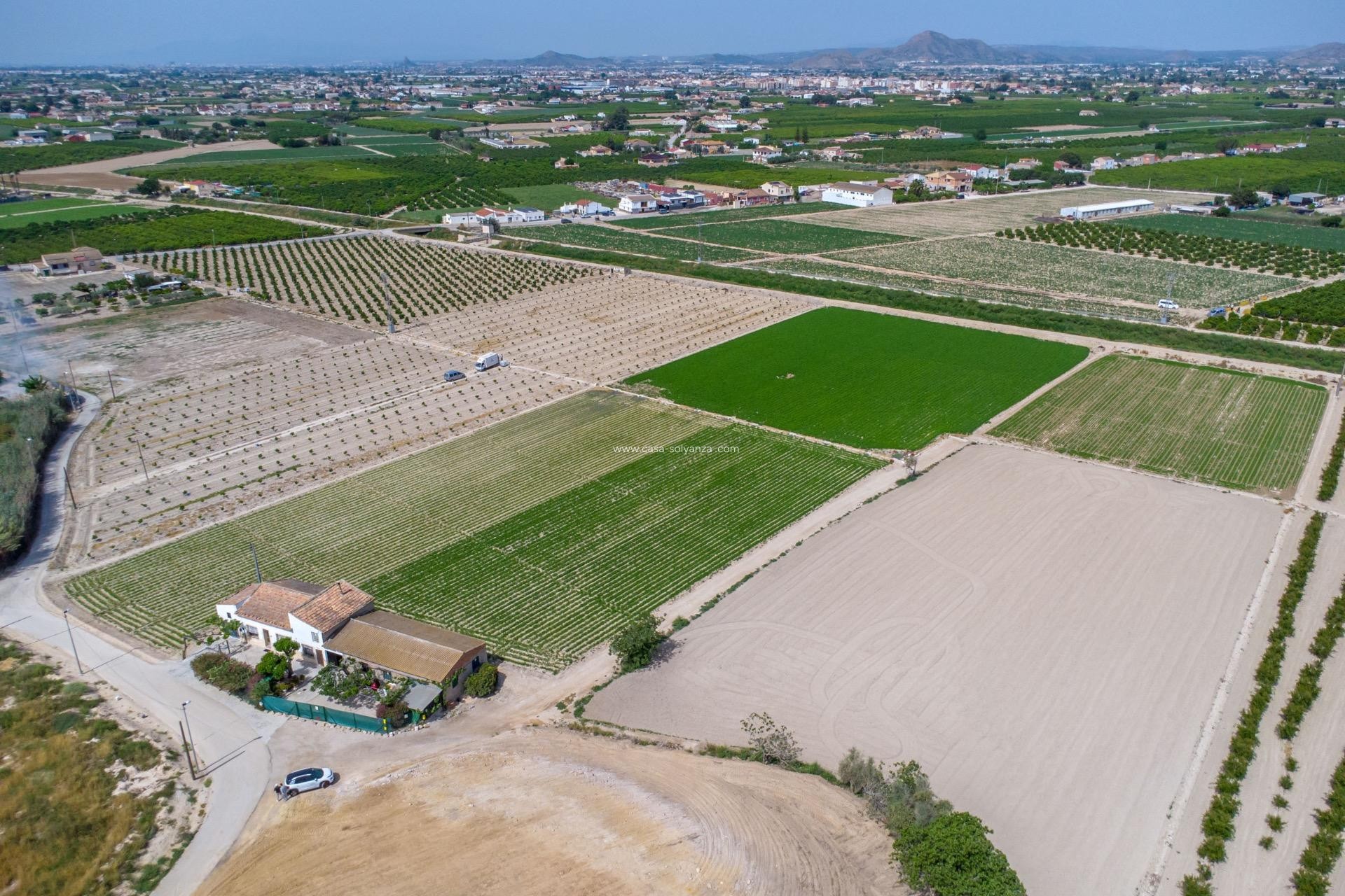 Revente - Country Property/Finca - Orihuela - Desamparados