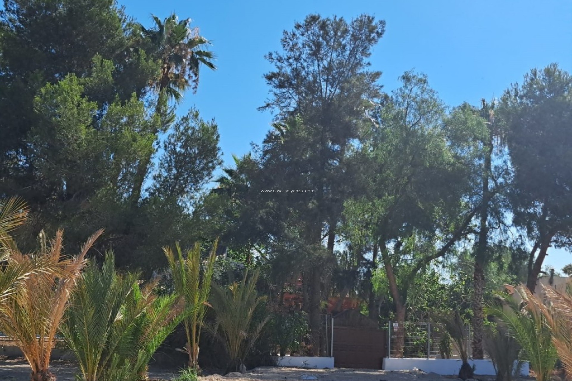 Revente - Country Property/Finca - Orihuela - Inland