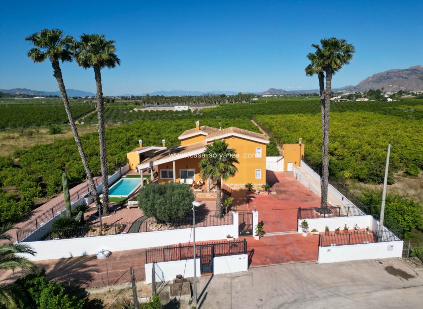 Revente - Country Property/Finca - Orihuela - Inland