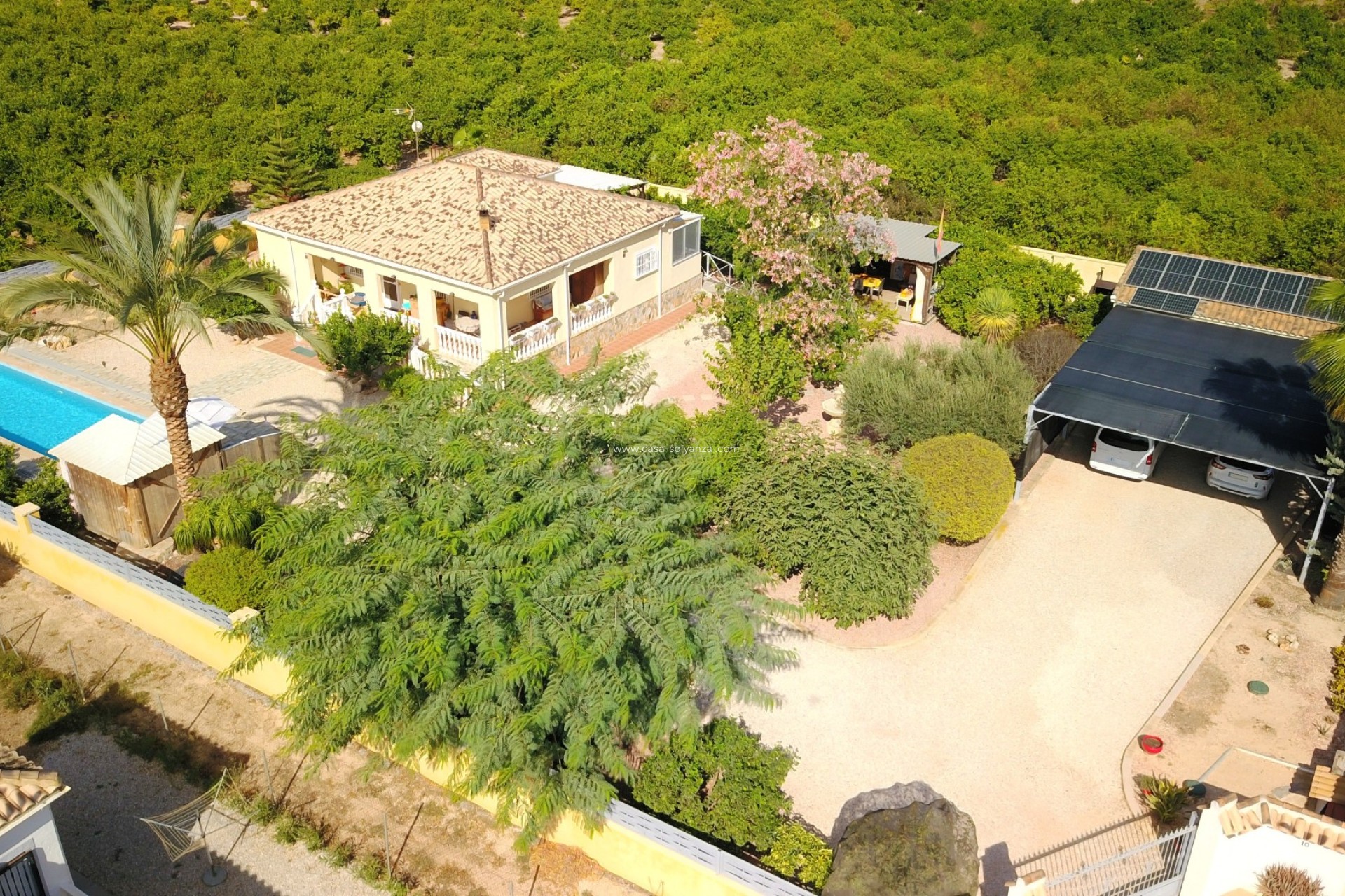Revente - Country Property/Finca - Orihuela - La Campaneta