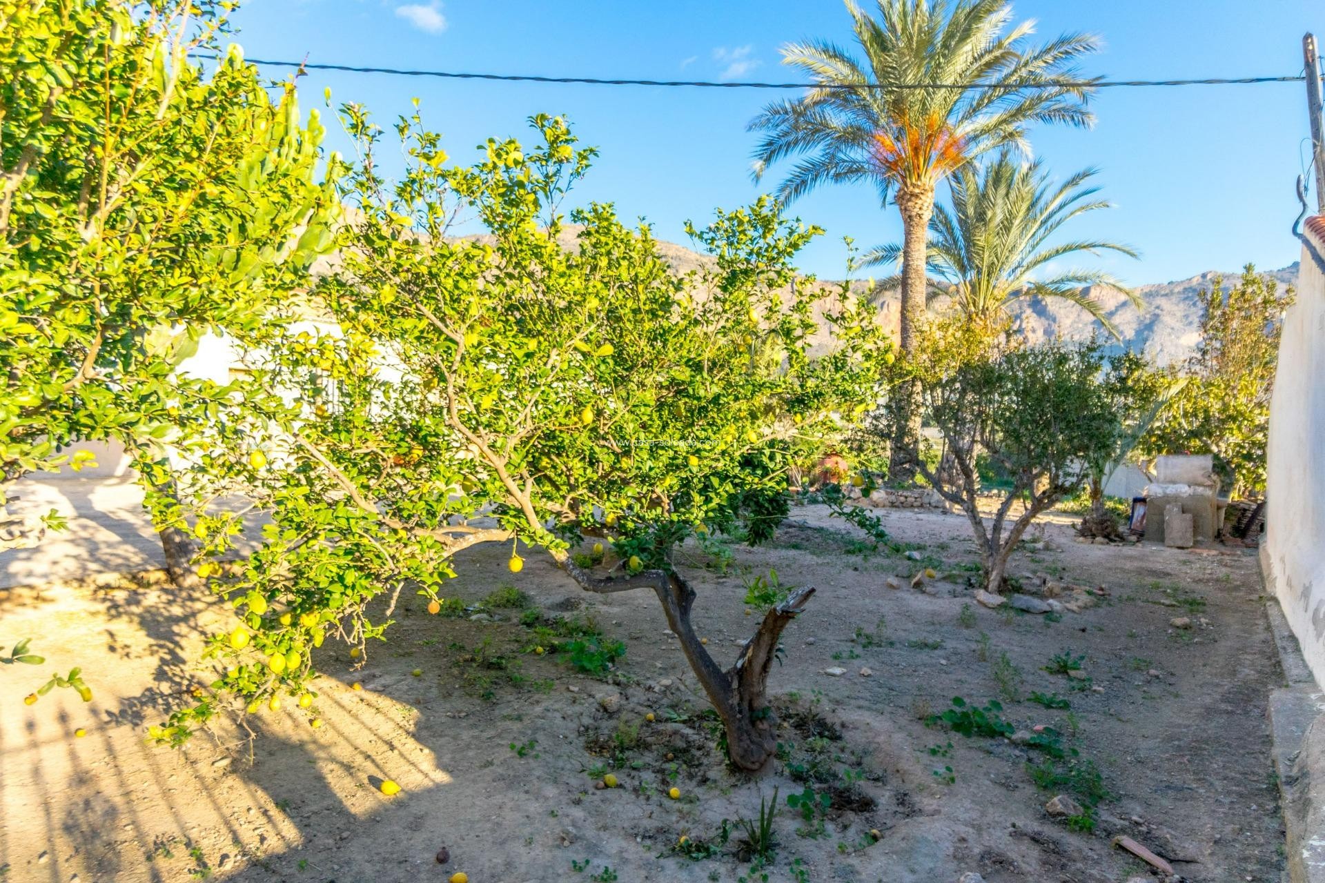 Revente - Country Property/Finca - Orihuela - Raiguero De Bonanza
