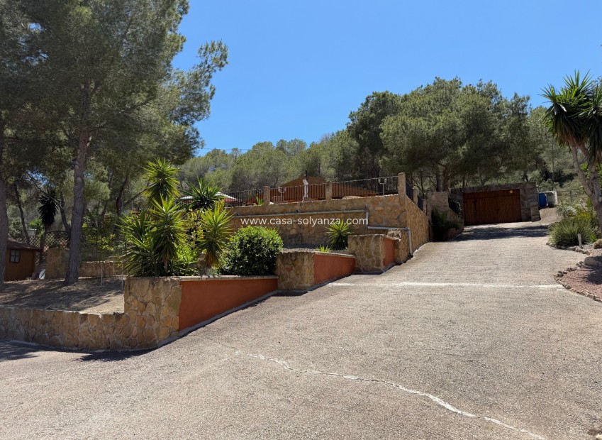 Revente - Country Property/Finca - Orihuela - Torremendo
