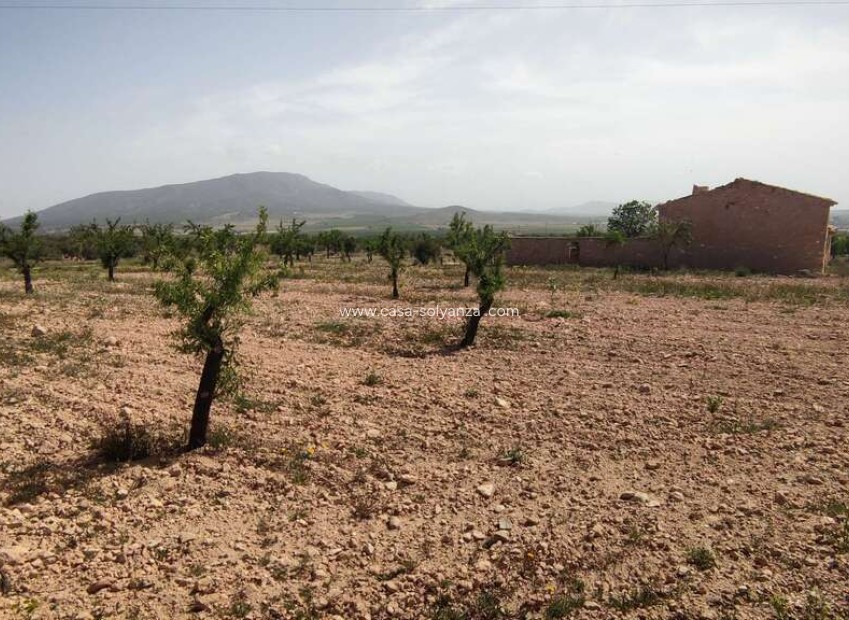 Revente - Country Property/Finca - Pinoso - Inland