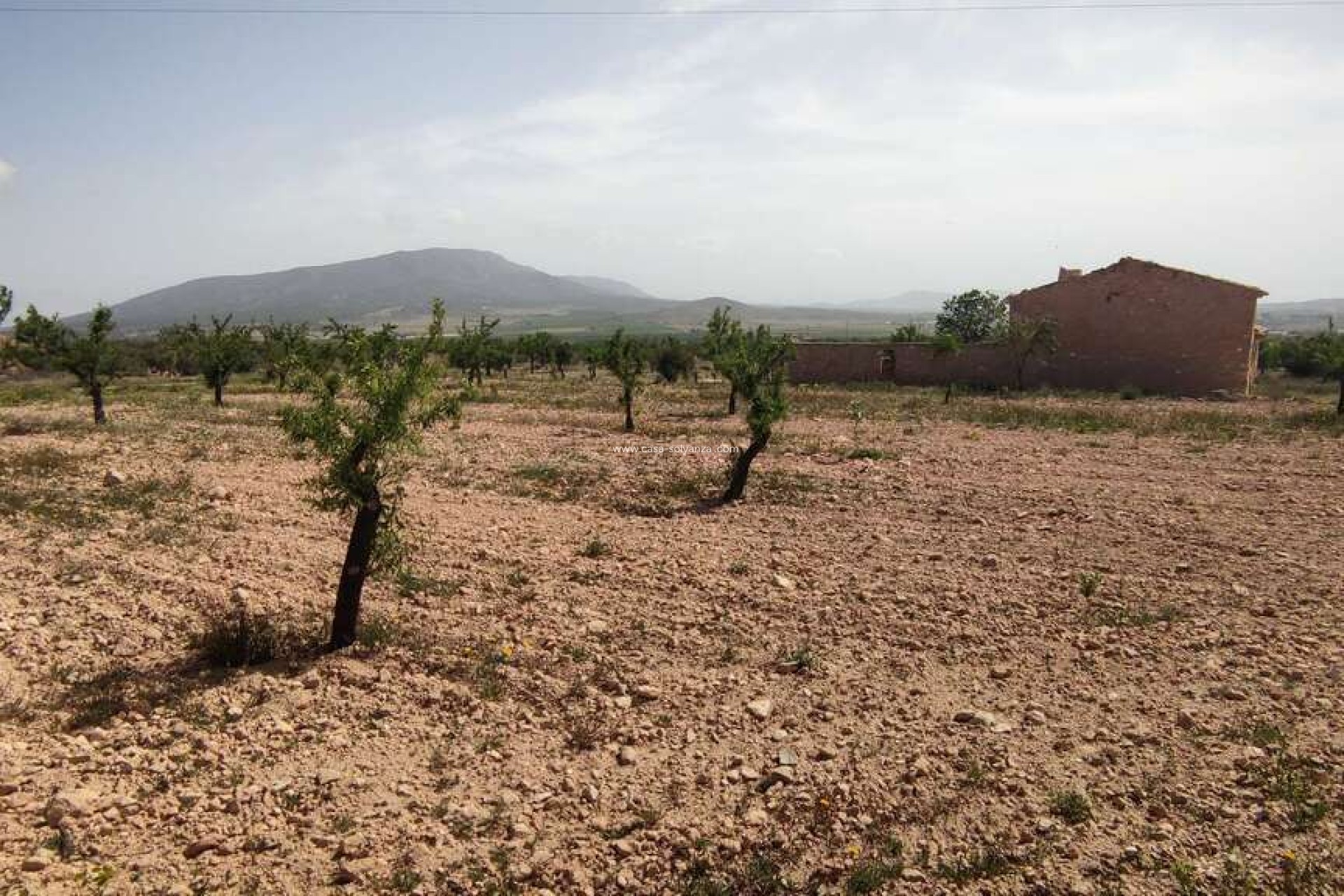 Revente - Country Property/Finca - Pinoso - Inland