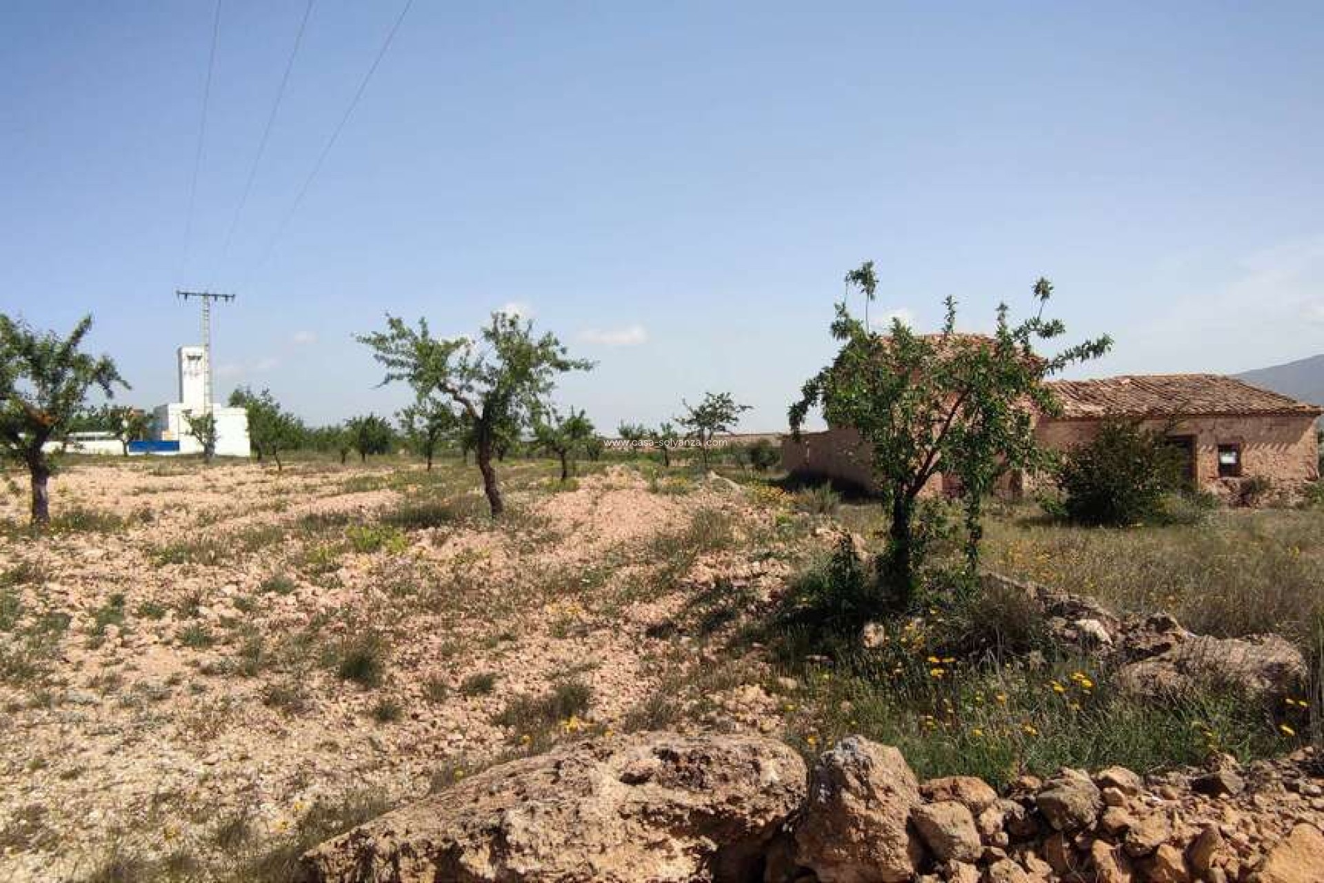 Revente - Country Property/Finca - Pinoso - Inland