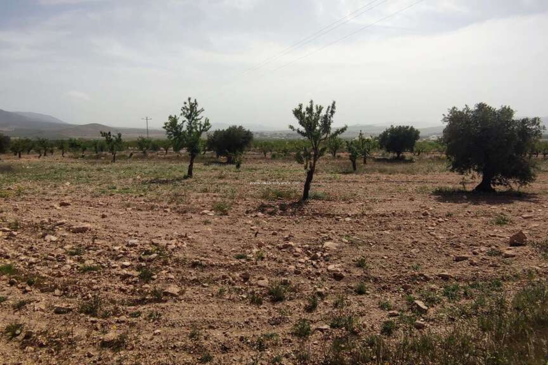 Revente - Country Property/Finca - Pinoso - Inland