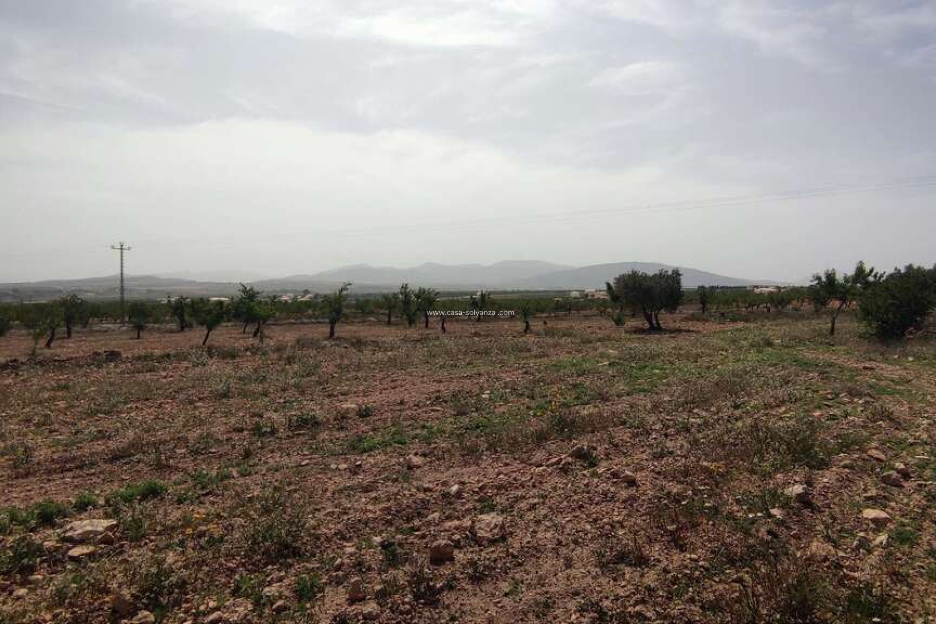 Revente - Country Property/Finca - Pinoso - Inland