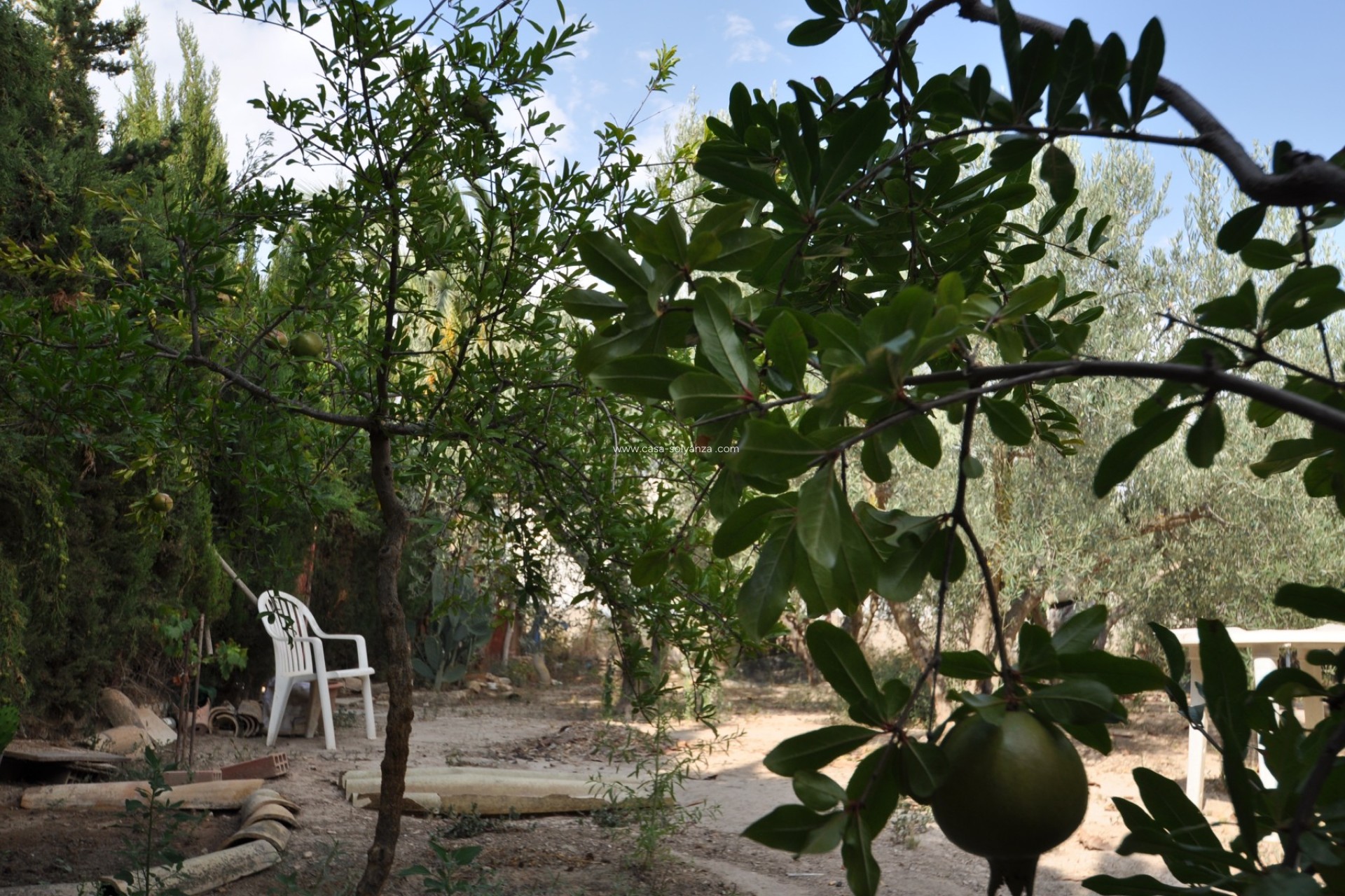 Revente - Country Property/Finca - Pinoso - Inland