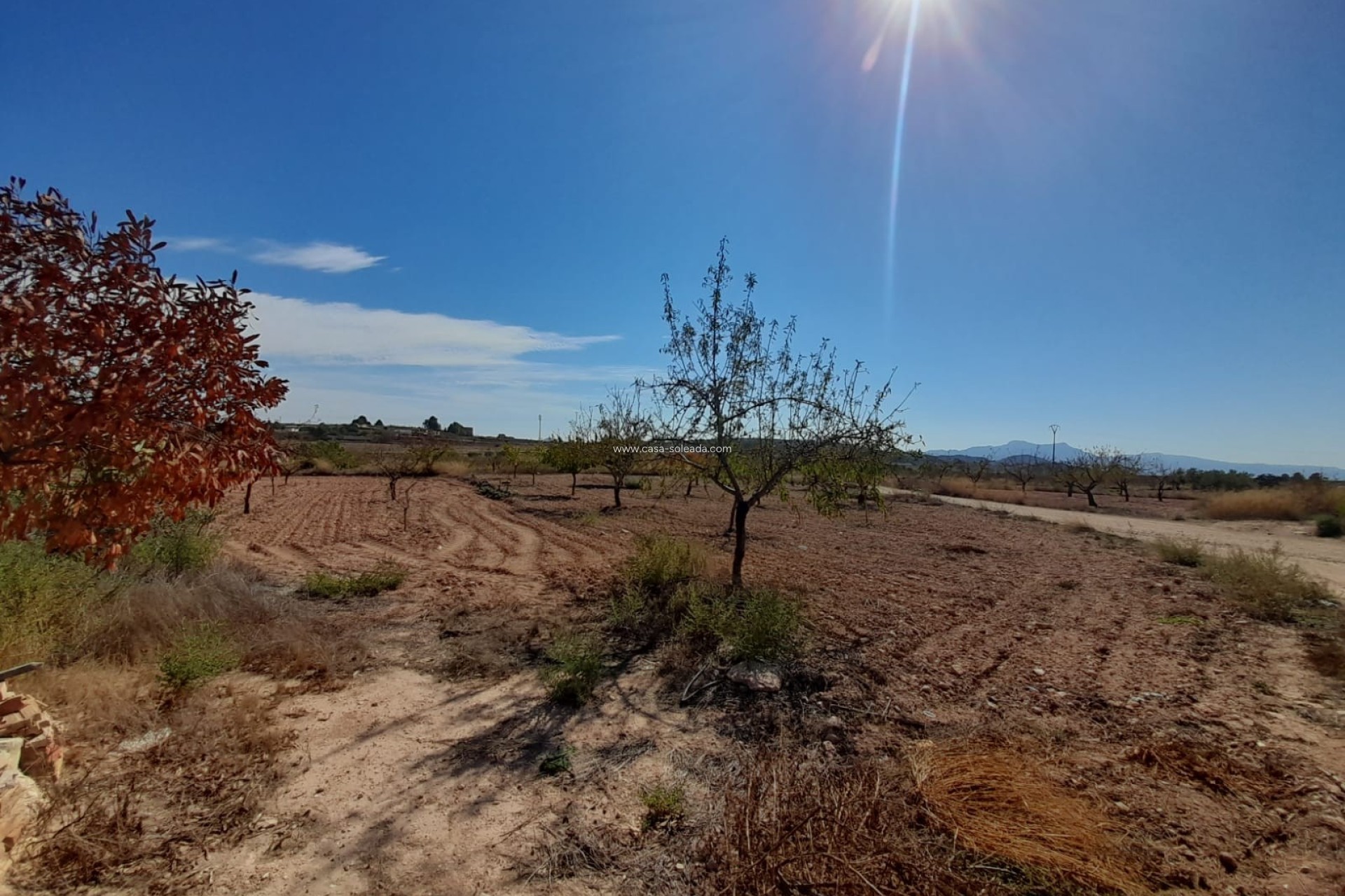 Revente - Country Property/Finca - Pinoso - Inland