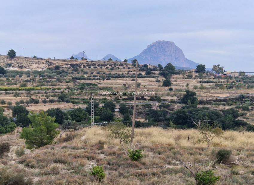 Revente - Country Property/Finca - Relleu - Inland