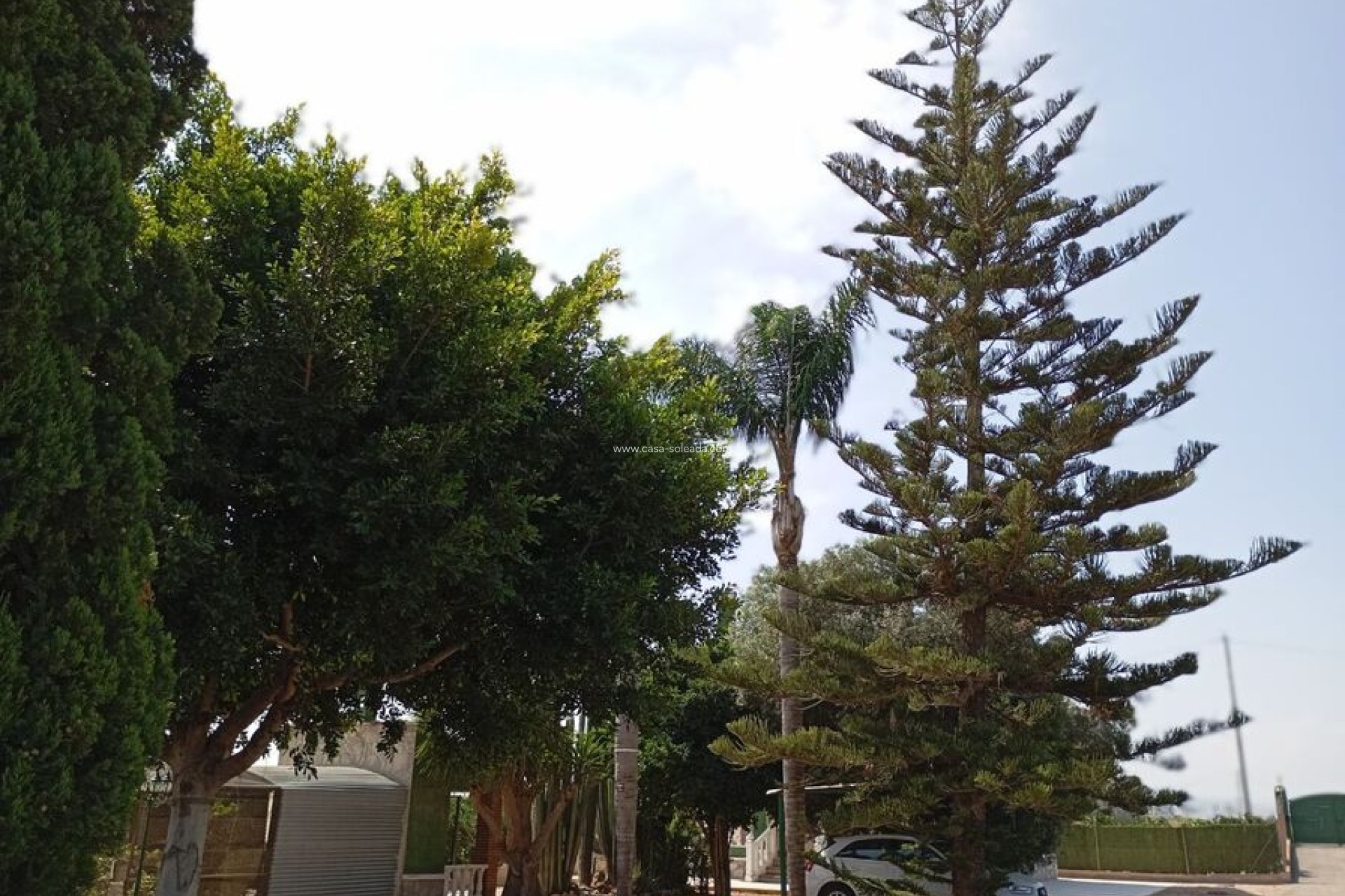 Revente - Country Property/Finca - Rojales - Inland