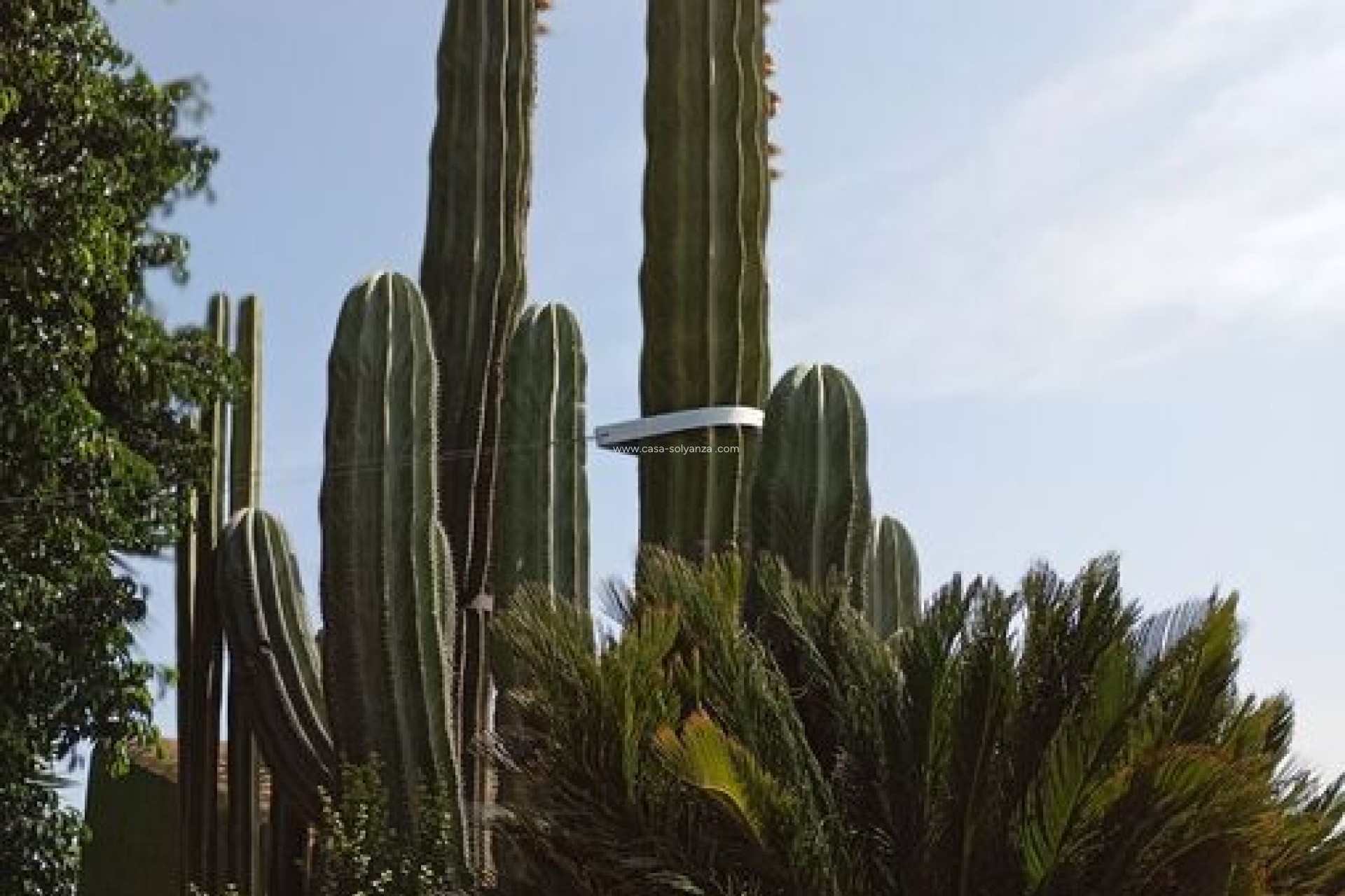 Revente - Country Property/Finca - Rojales - Inland