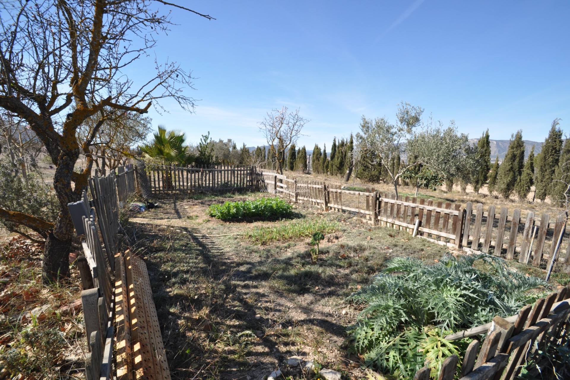 Revente - Country Property/Finca - Salinas - Inland