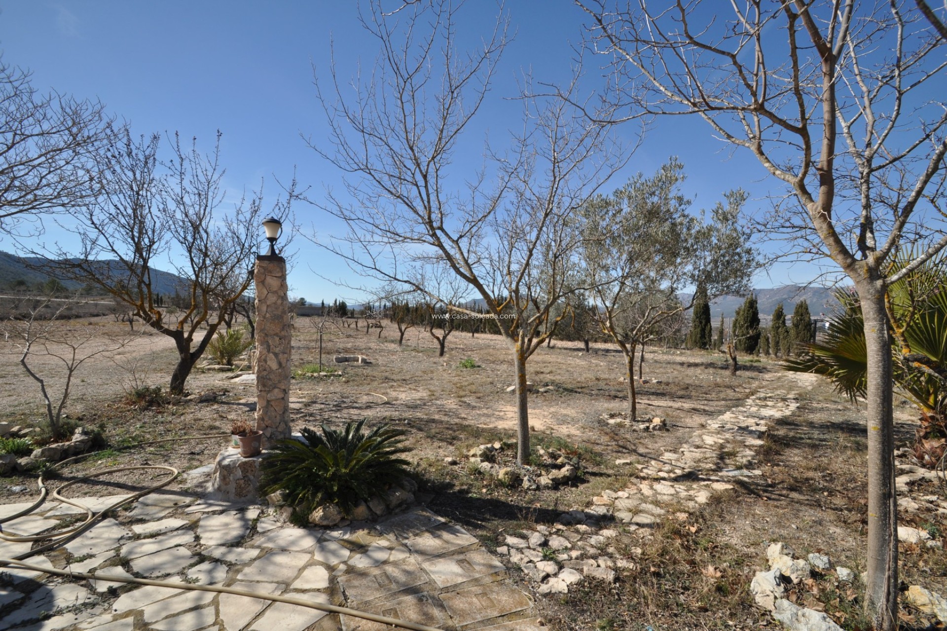 Revente - Country Property/Finca - Salinas - Inland