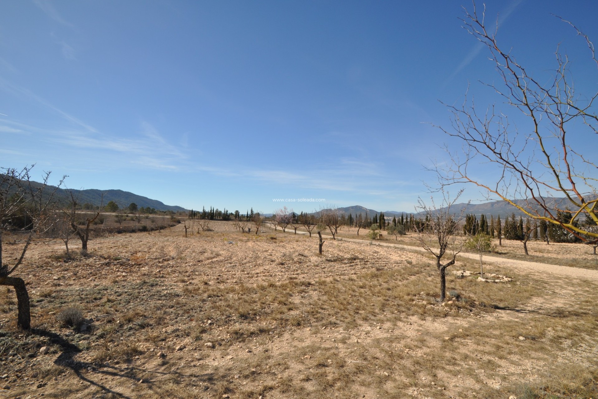Revente - Country Property/Finca - Salinas - Inland