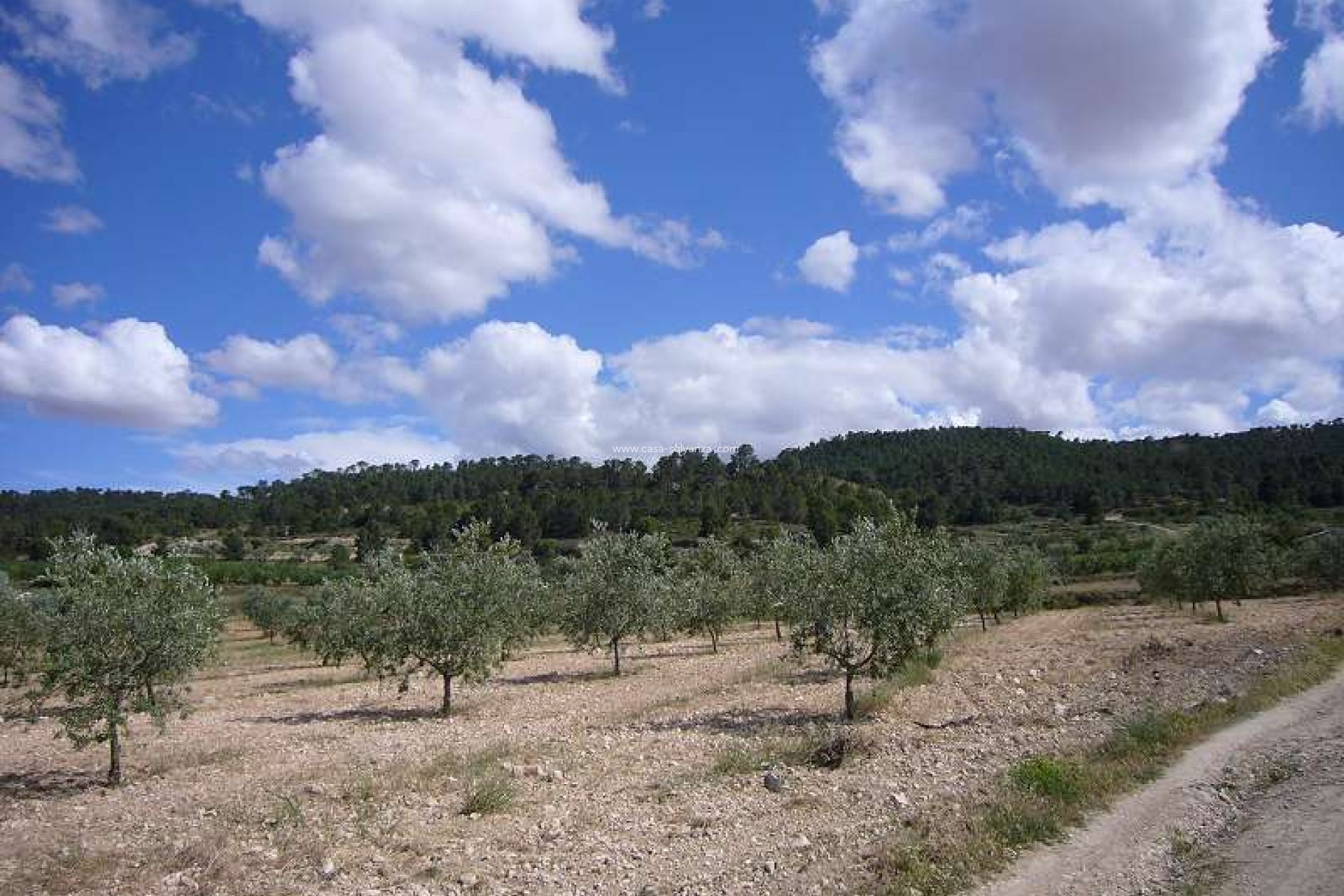 Revente - Country Property/Finca - Salinas - Inland