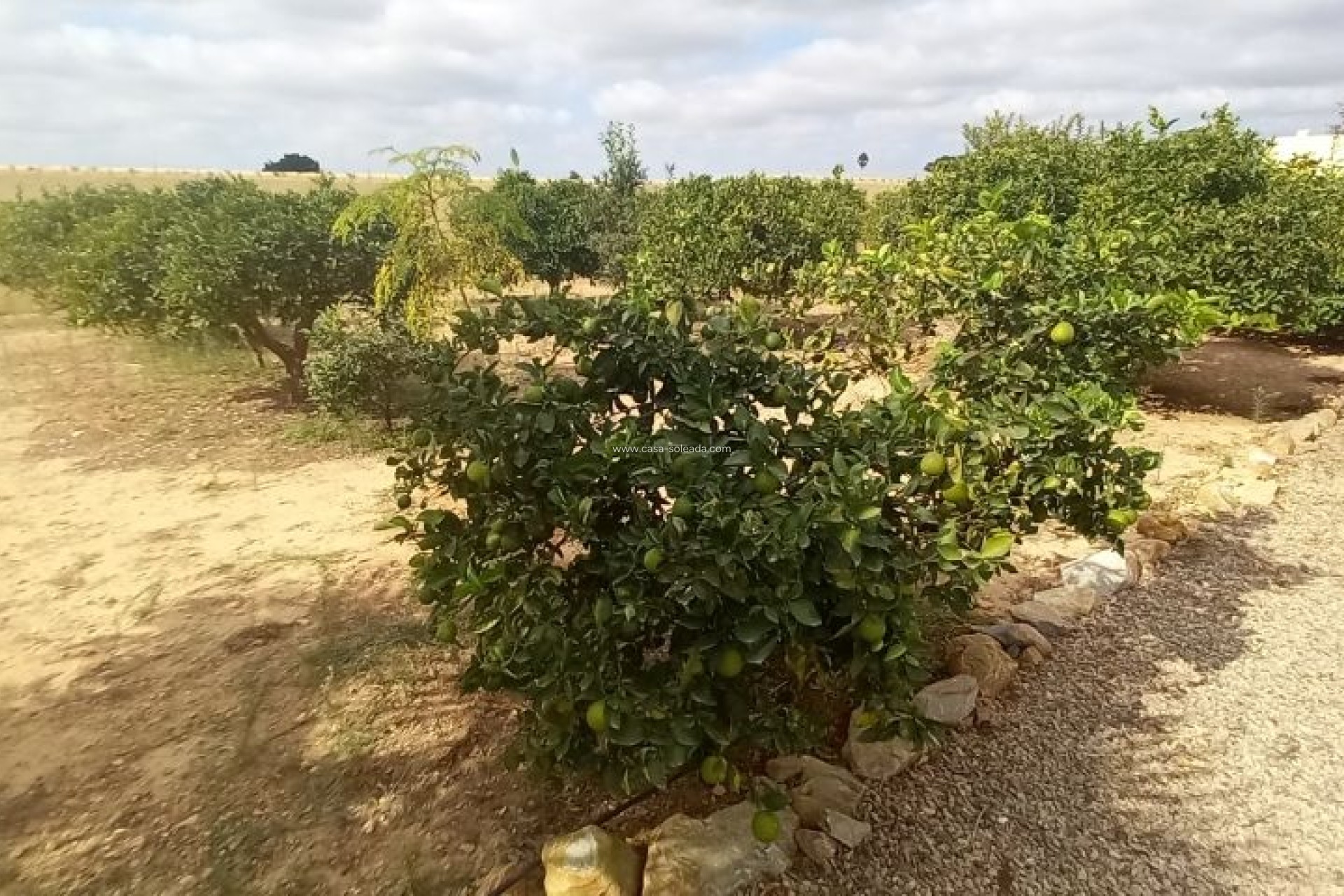 Revente - Country Property/Finca - San javier - Costa Calida