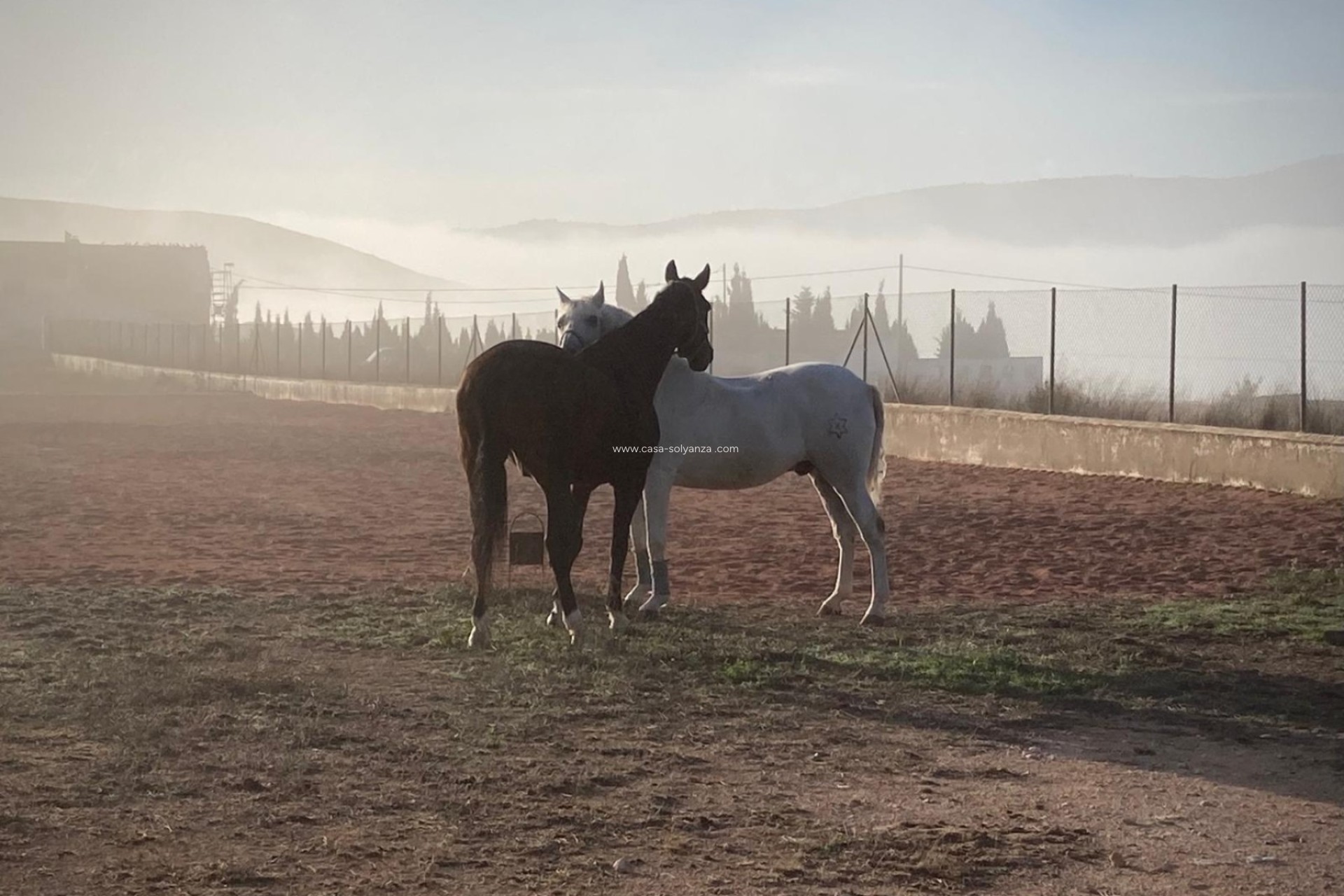 Revente - Country Property/Finca - Torre Del Rico