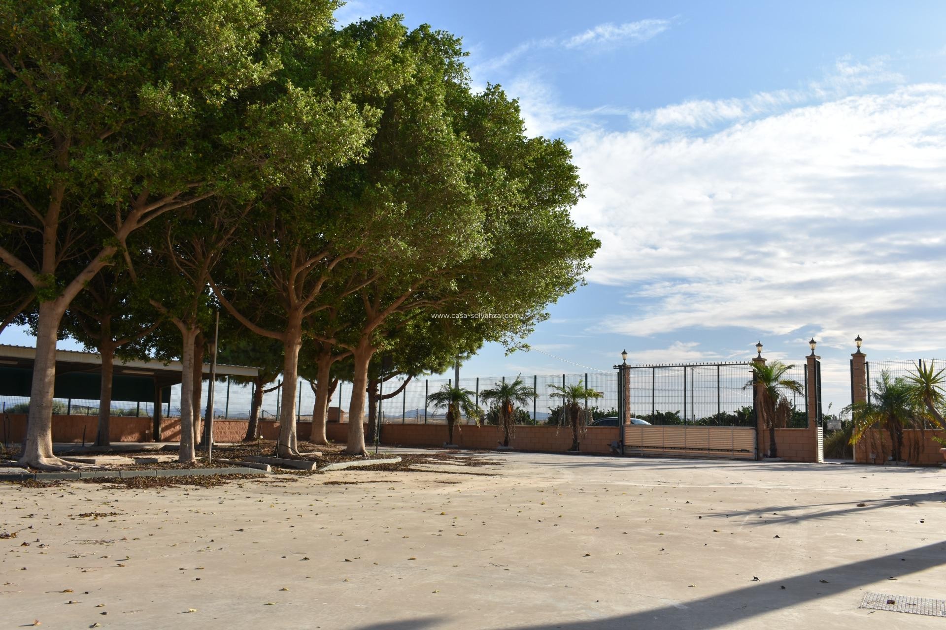 Revente - Country Property/Finca - Torre Pacheco - Dolores De Pacheco