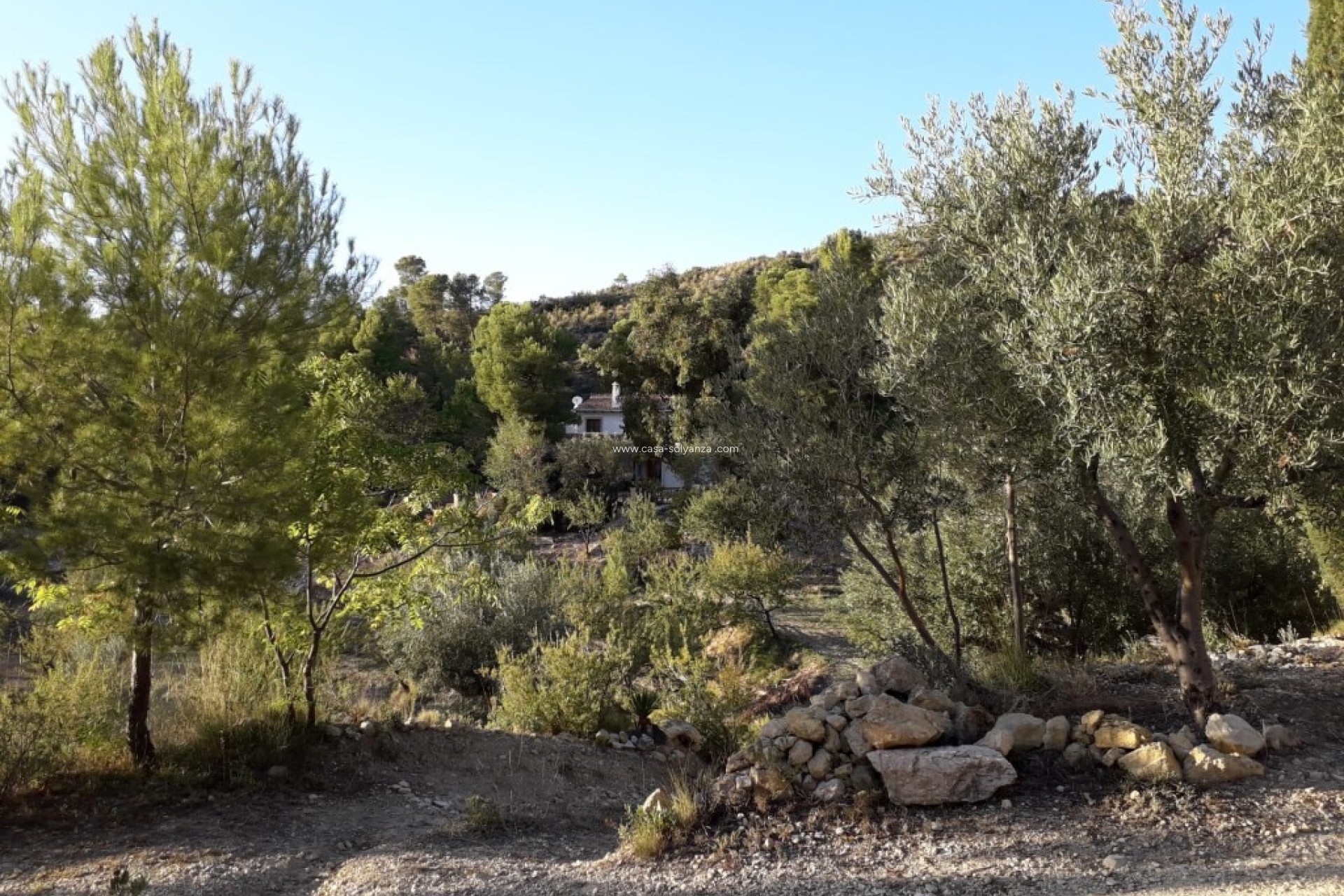 Revente - Country Property/Finca - Torremanzanas - Costa Blanca